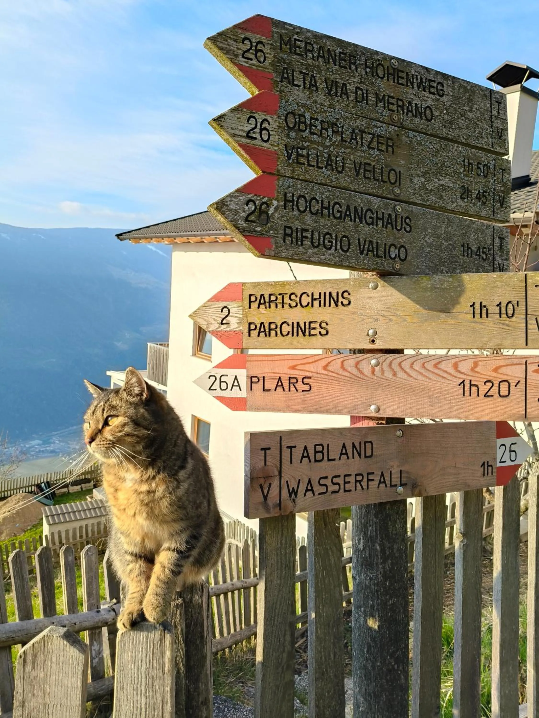 Hiking in Greiterhof Partschins