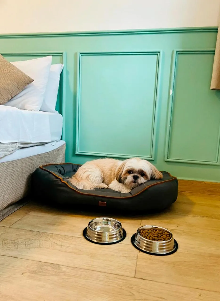 Pets, Bed in Pousada Cabore