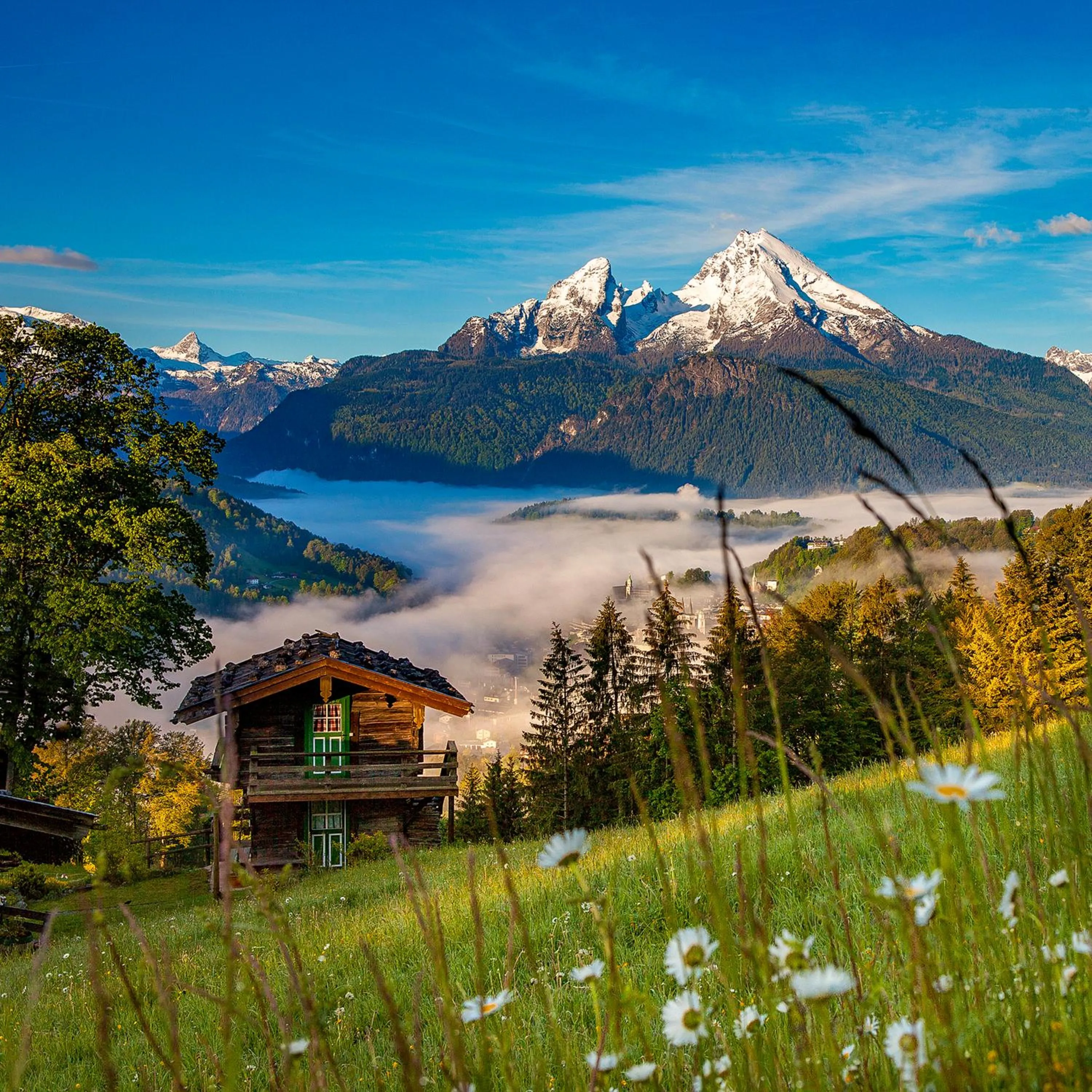 Mountain view in Alpenresidenz Buchenhöhe