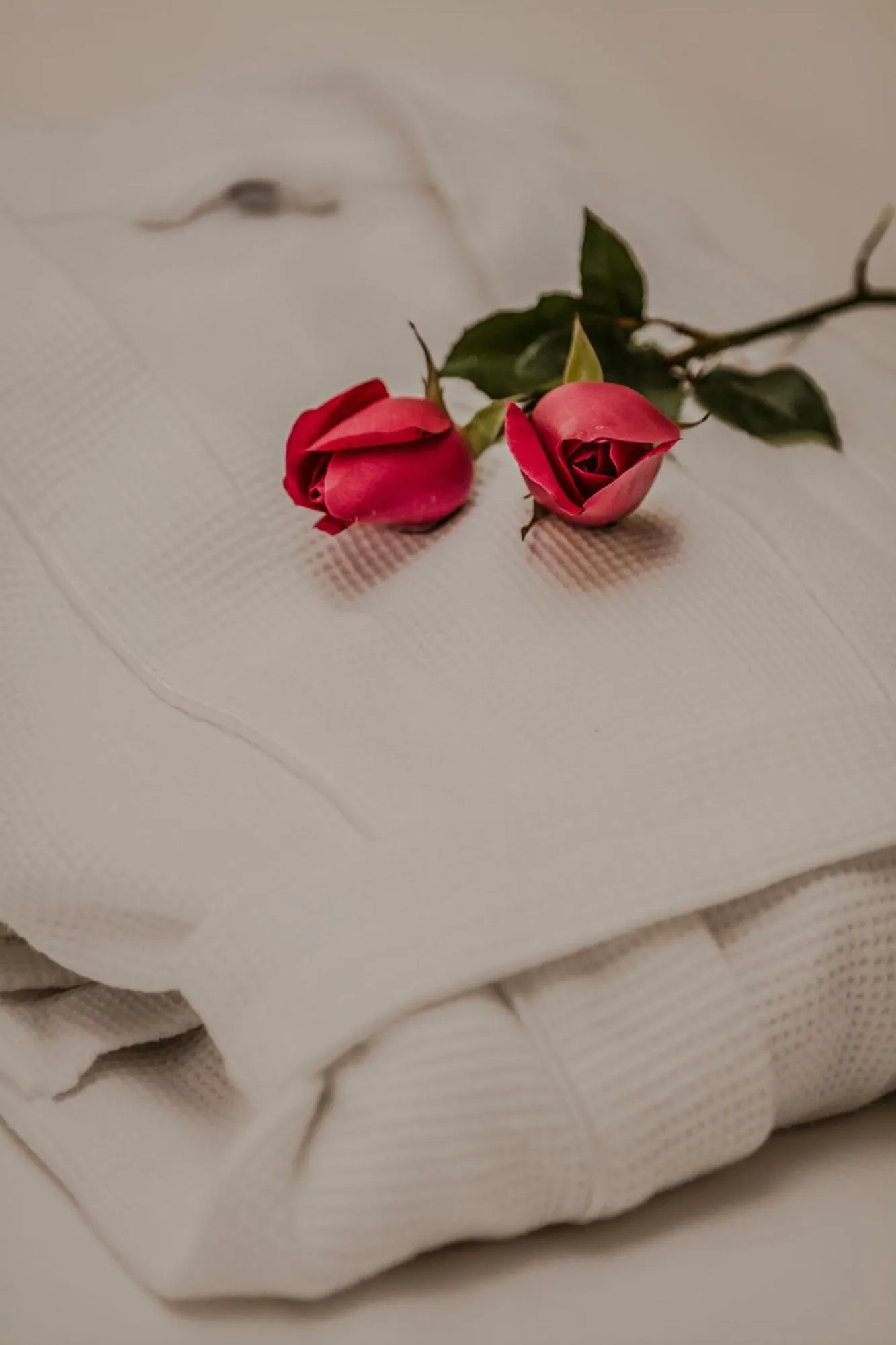 Other, Bed in Delta Sapa Hotel - Old Quarter Center