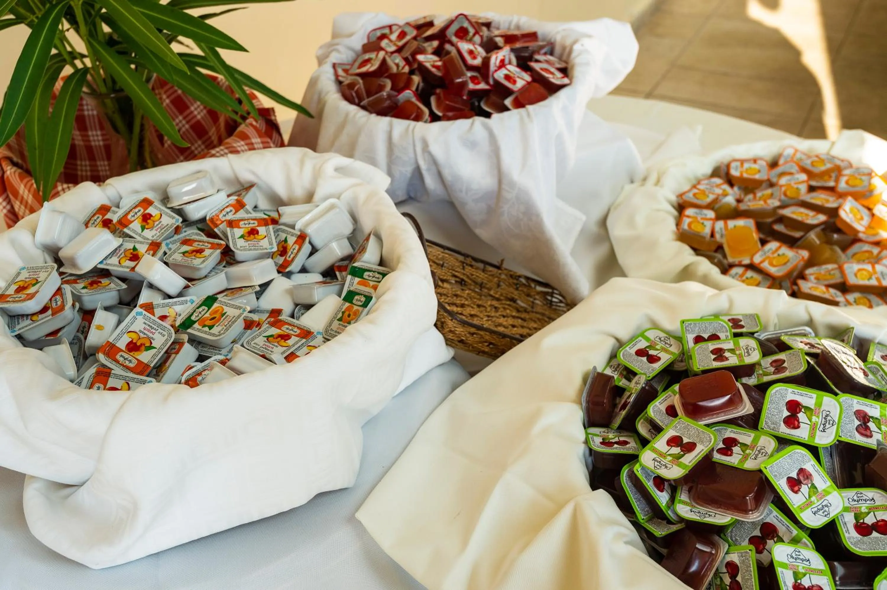 Buffet breakfast in Dolphin Resort & Conference