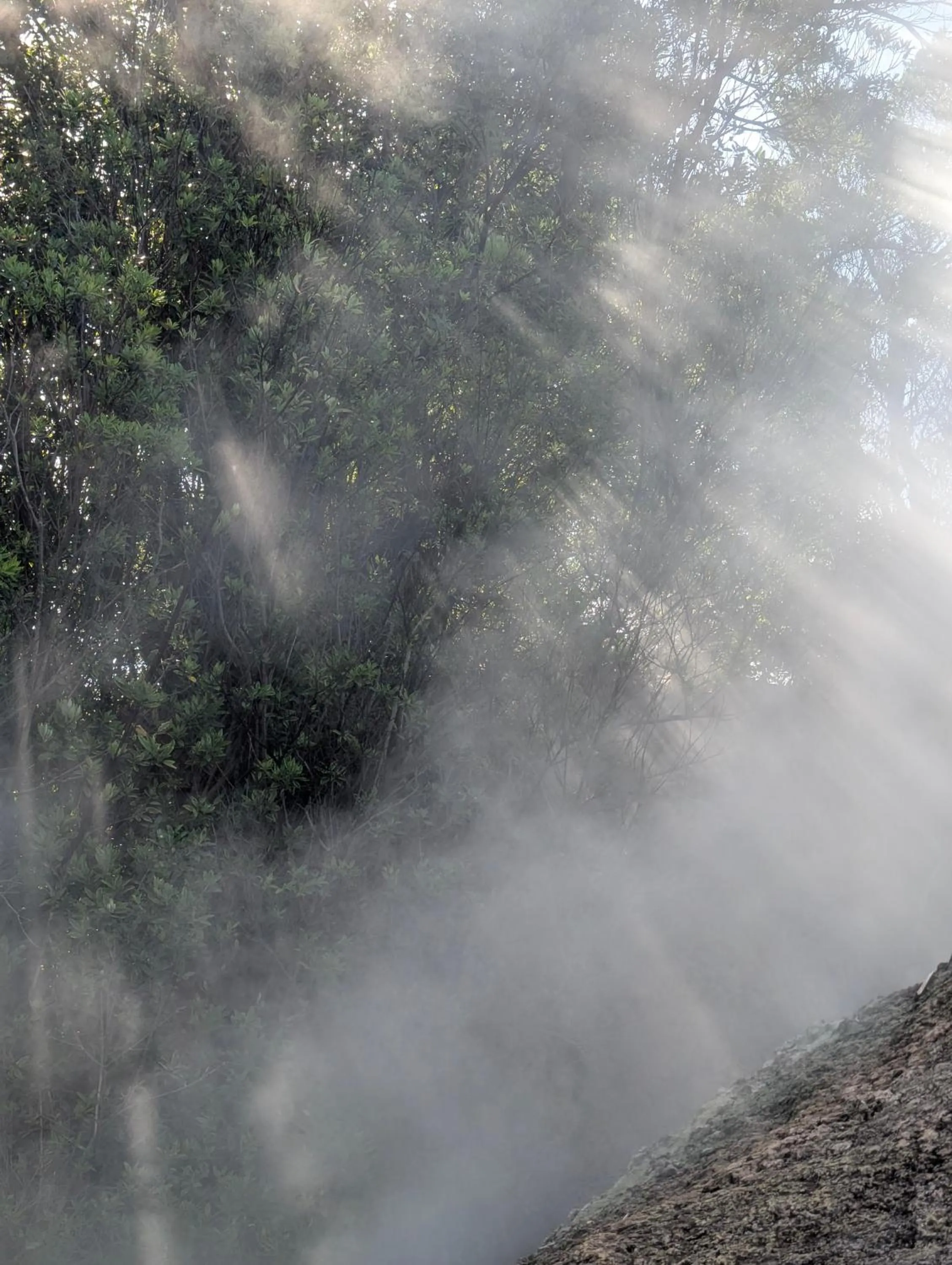 Nearby landmark in Hotel Vale Verde