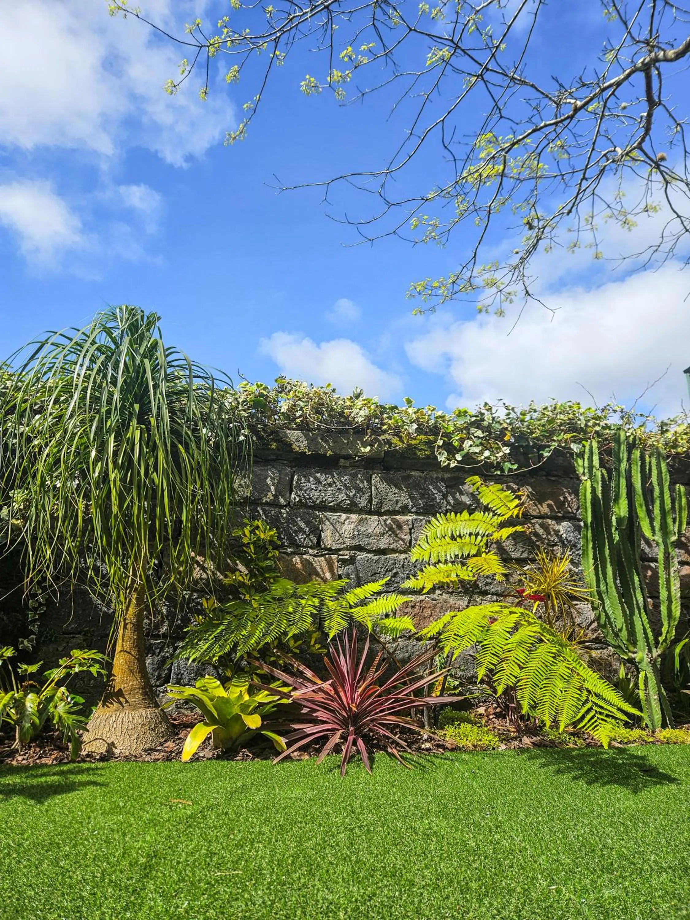Garden in Hotel Vale Verde