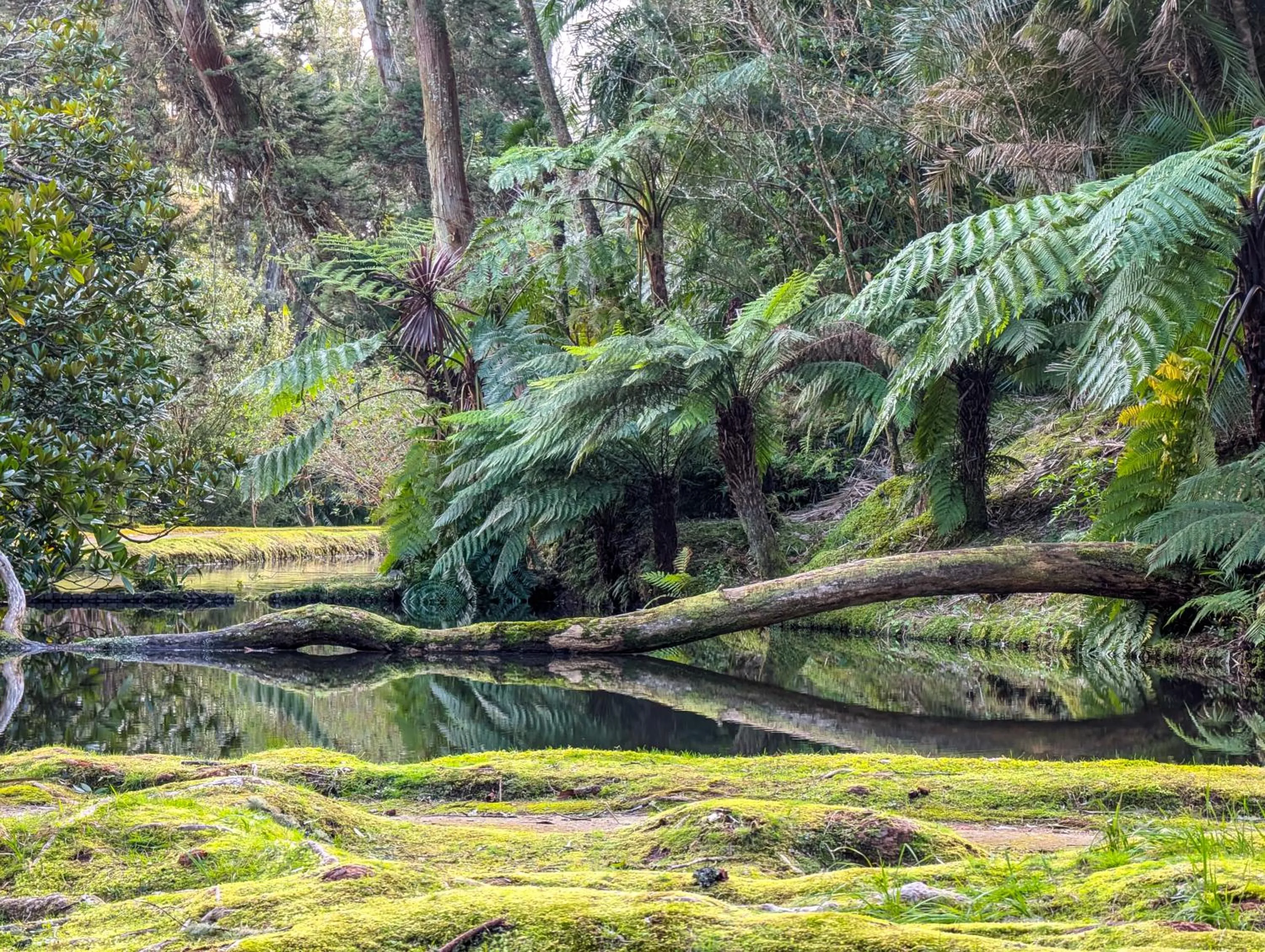 Nearby landmark in Hotel Vale Verde