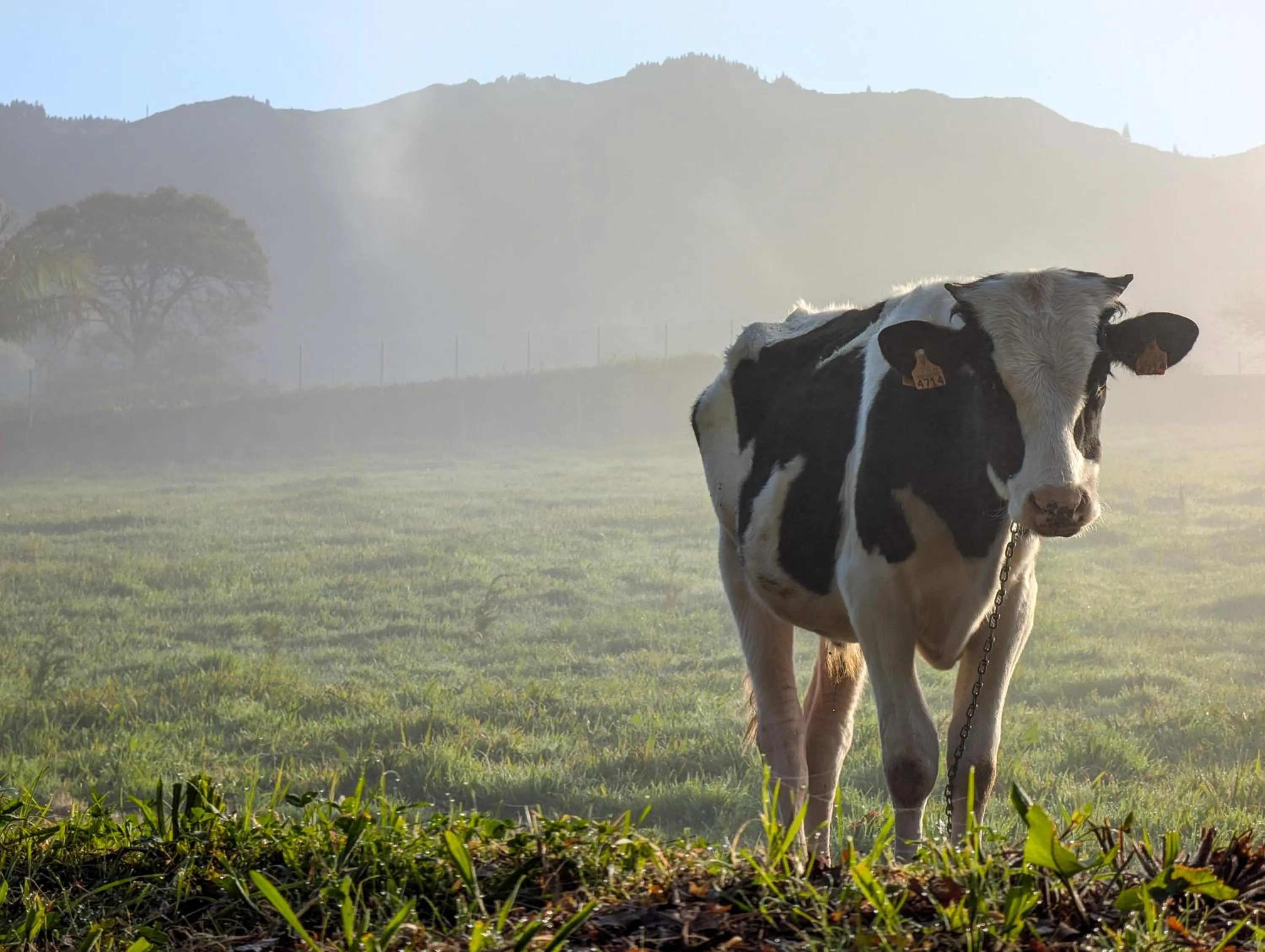 Natural landscape in Hotel Vale Verde