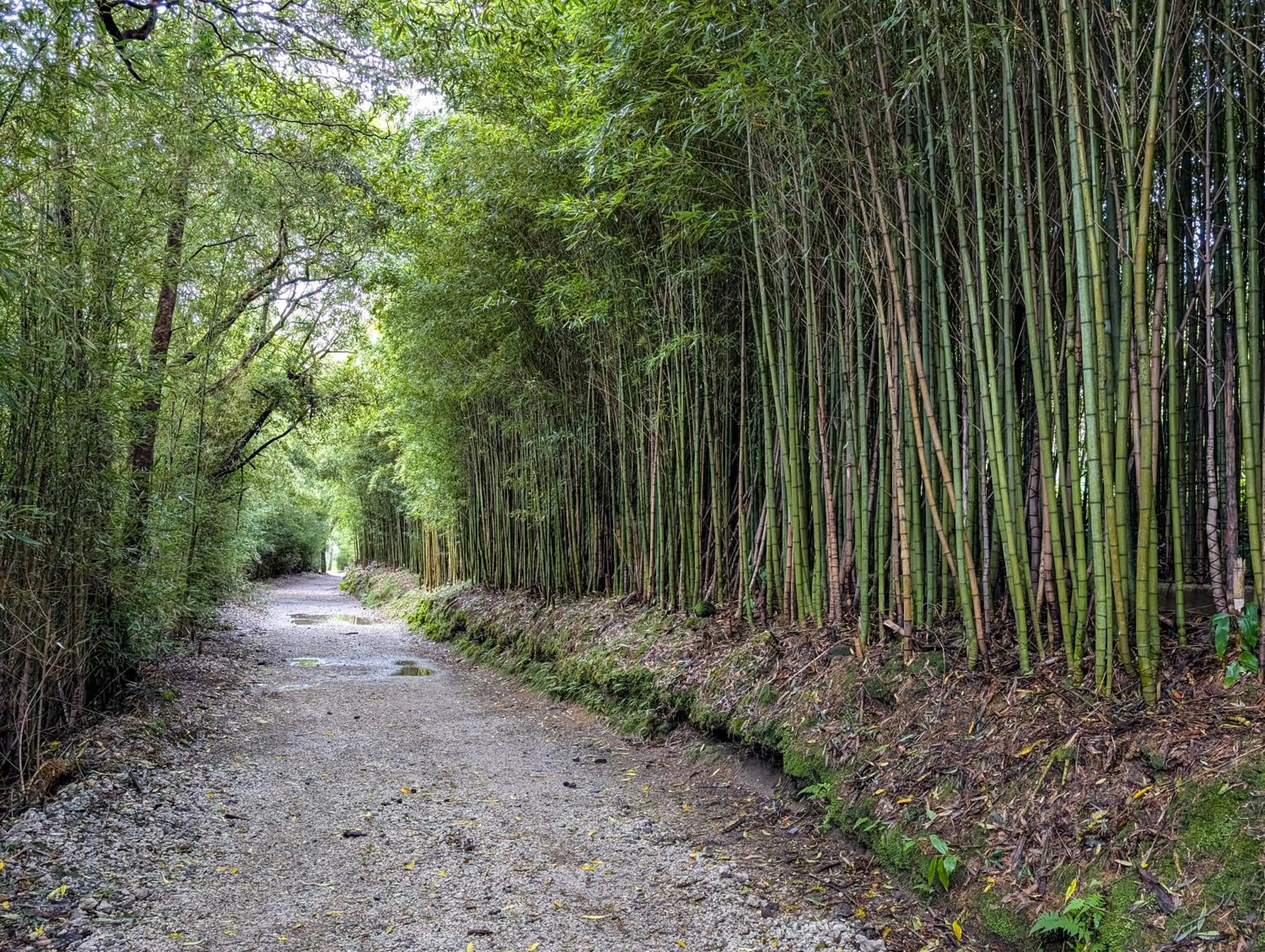 Nearby landmark in Hotel Vale Verde