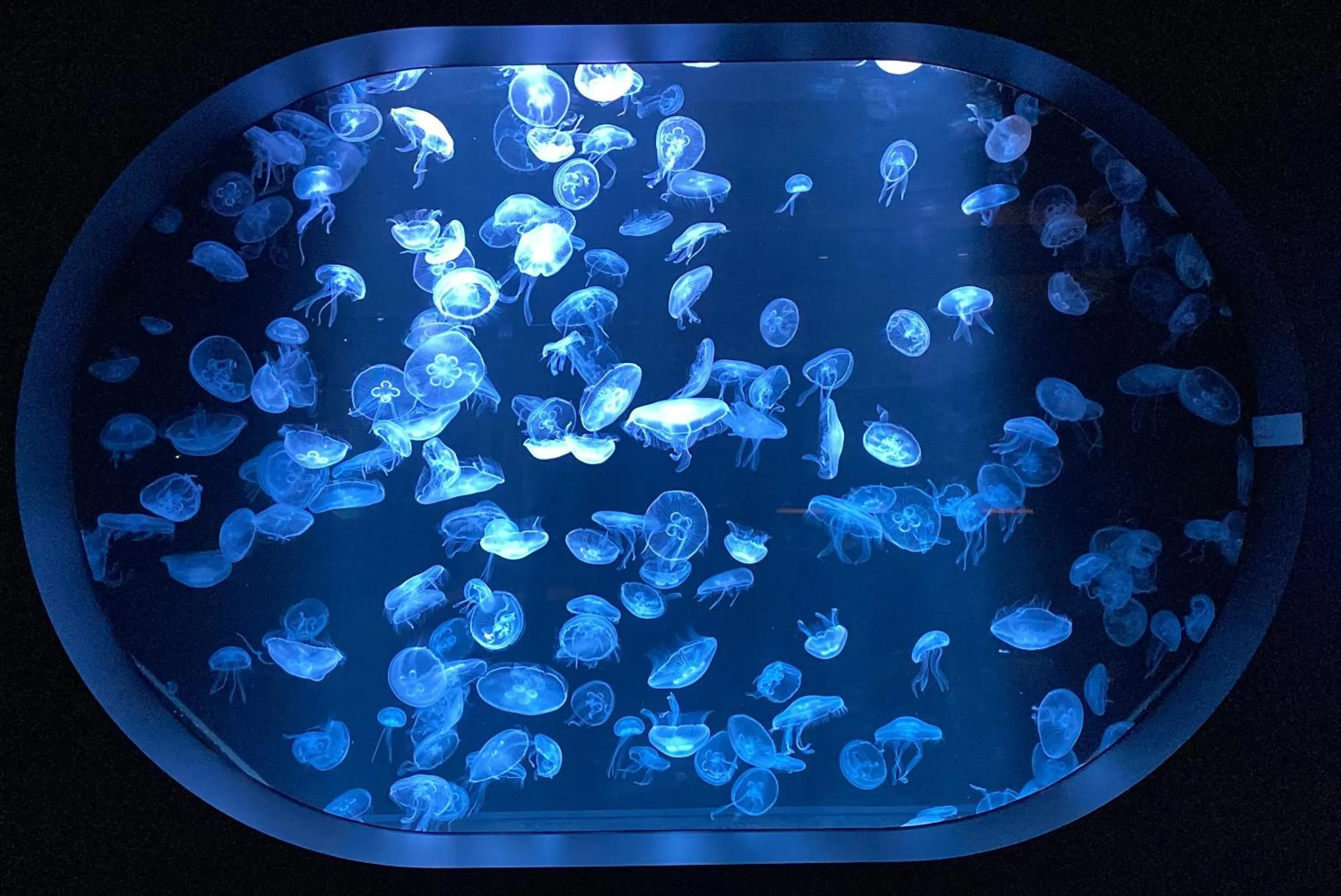 Nearby landmark in Mercure Sapporo