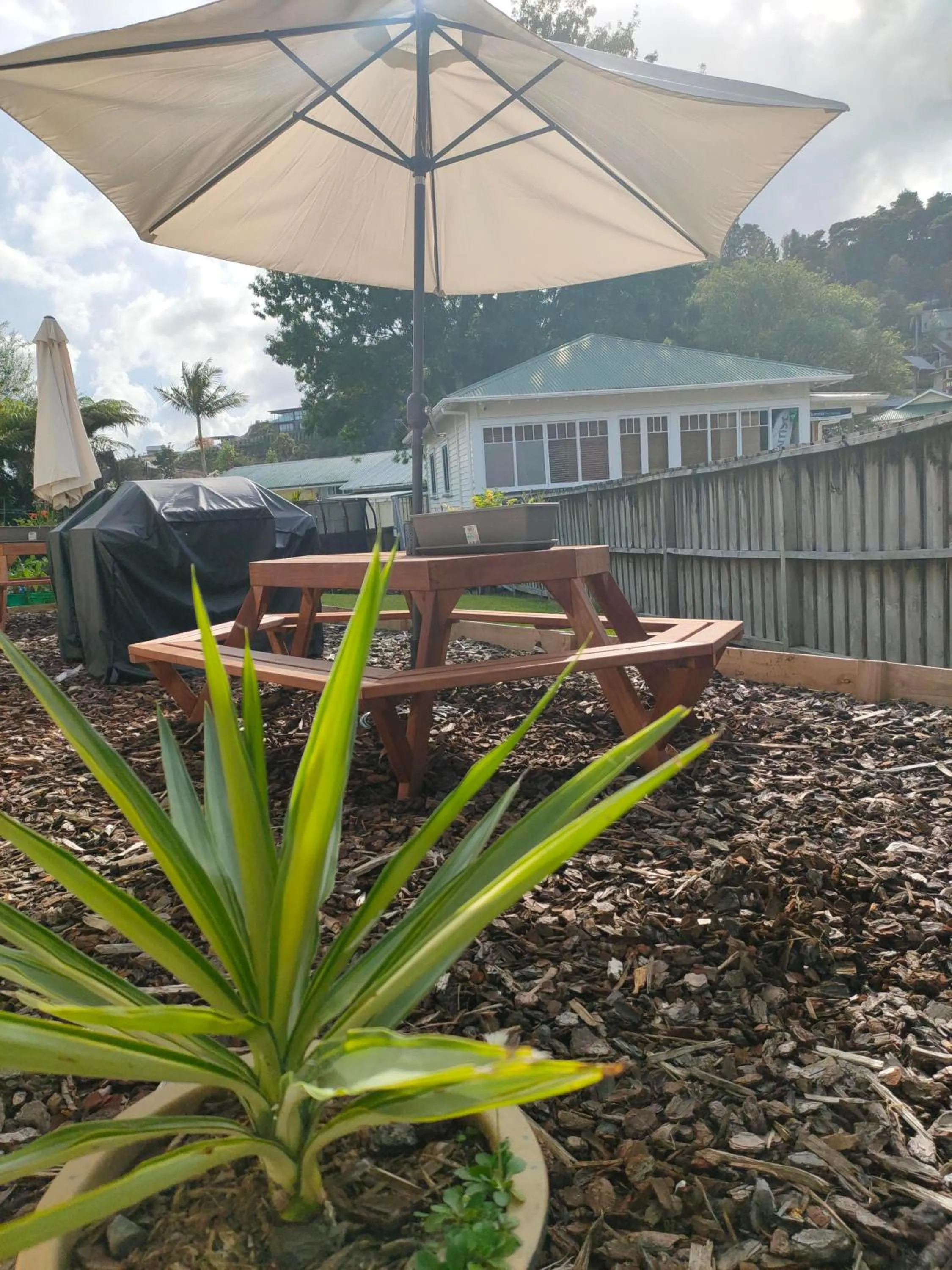 Aarangi Tui Motel