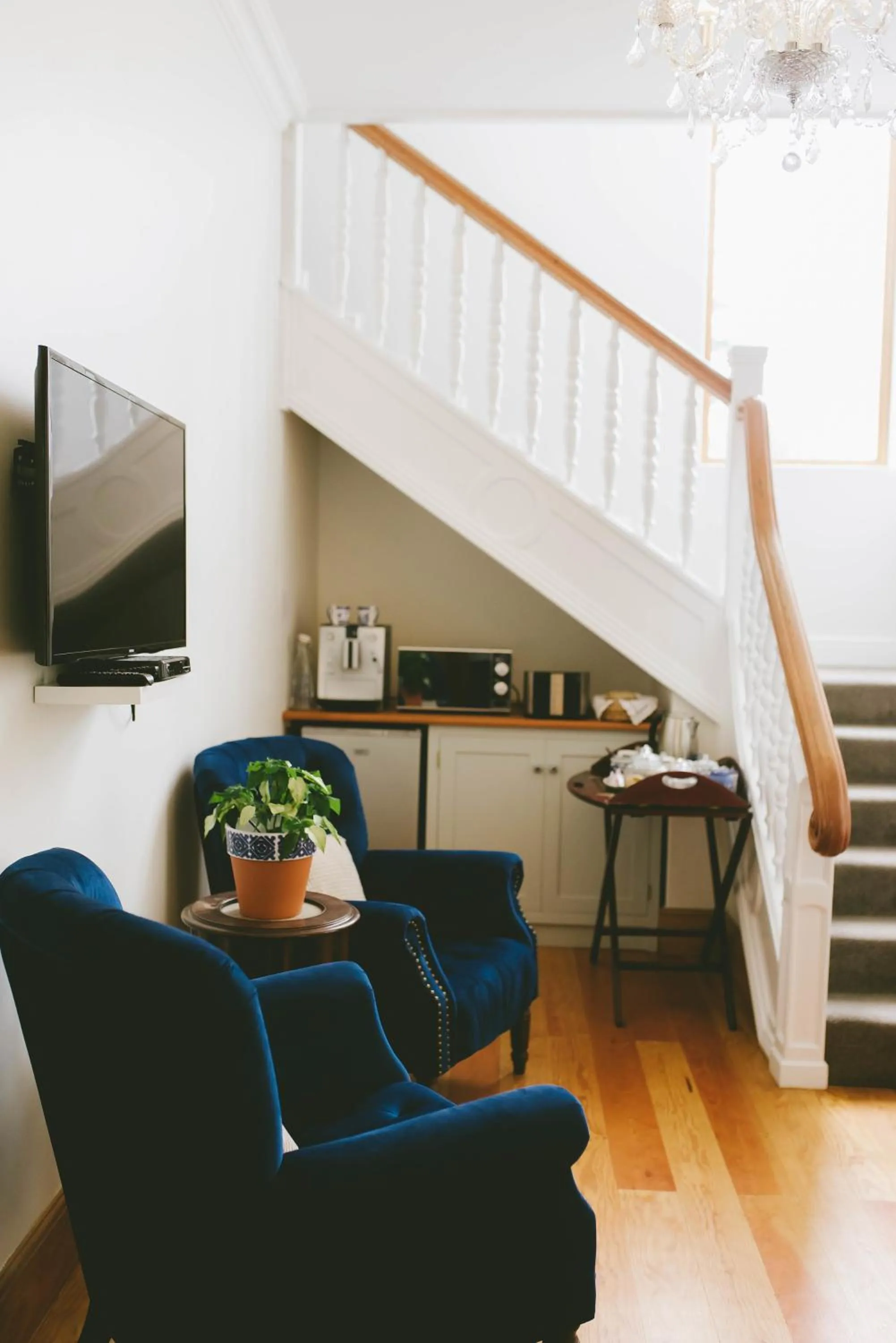 TV and multimedia in The Victorian Goose