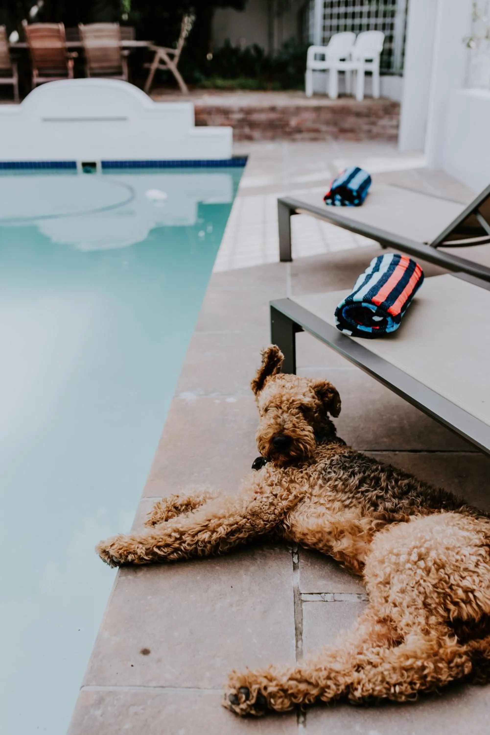 Swimming pool in The Victorian Goose