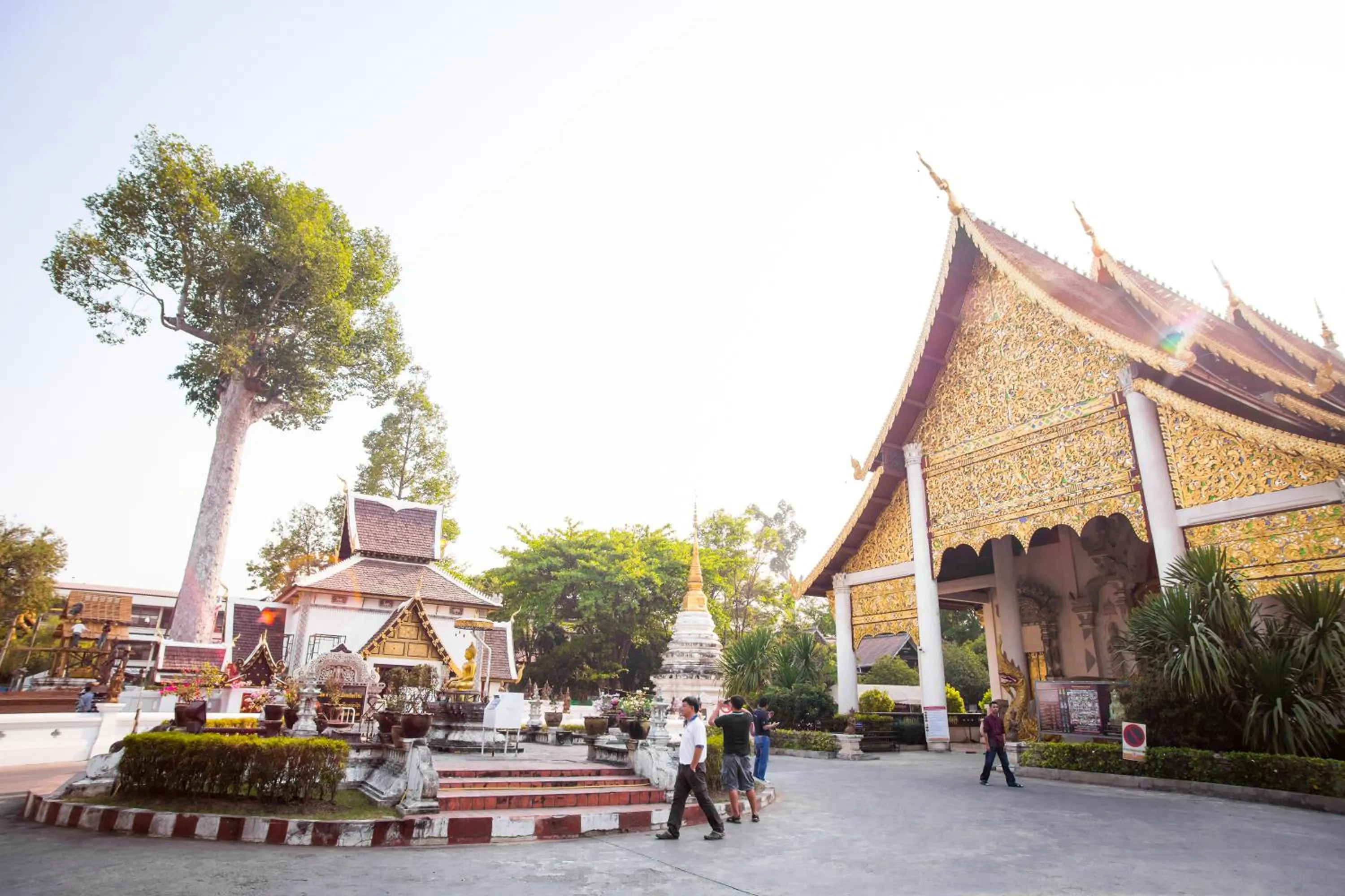 Area and facilities in The 3sis Hotel