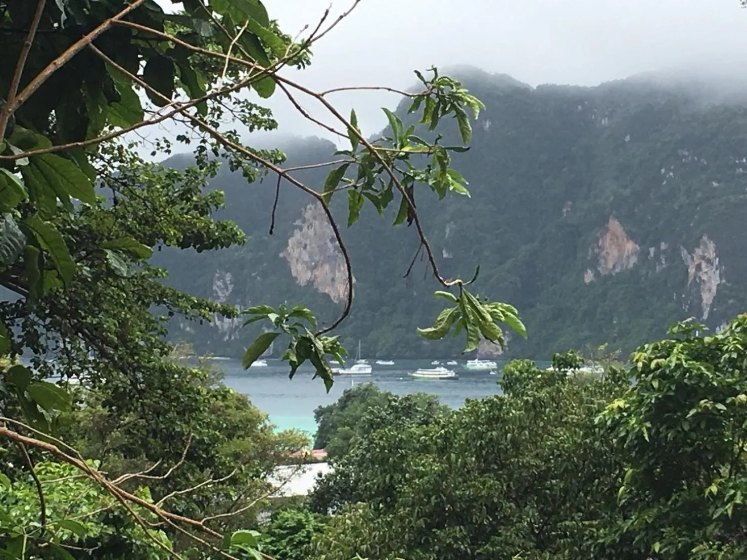Natural landscape in Phi Phi Green Hill Resort