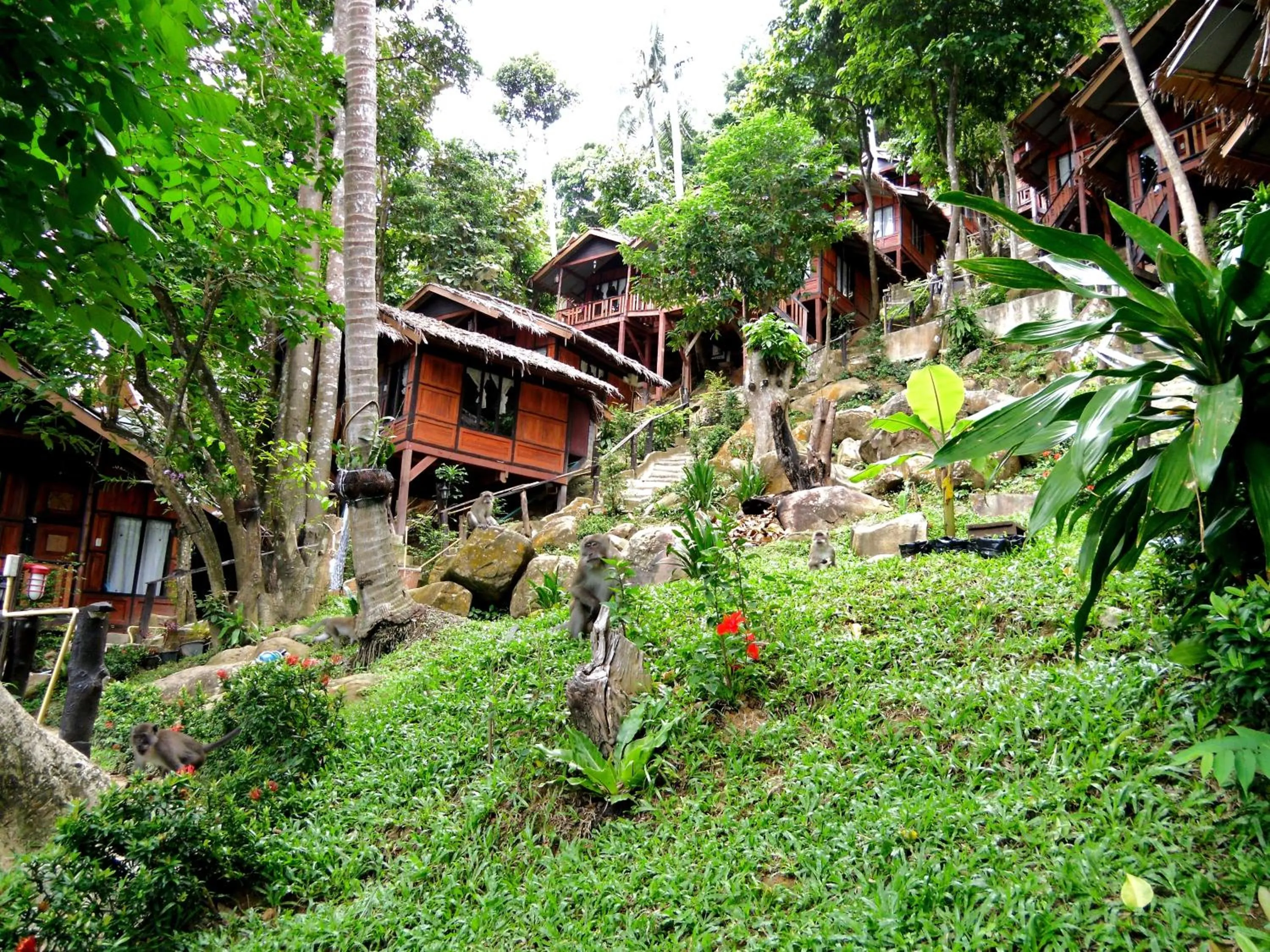 Area and facilities in Phi Phi Green Hill Resort
