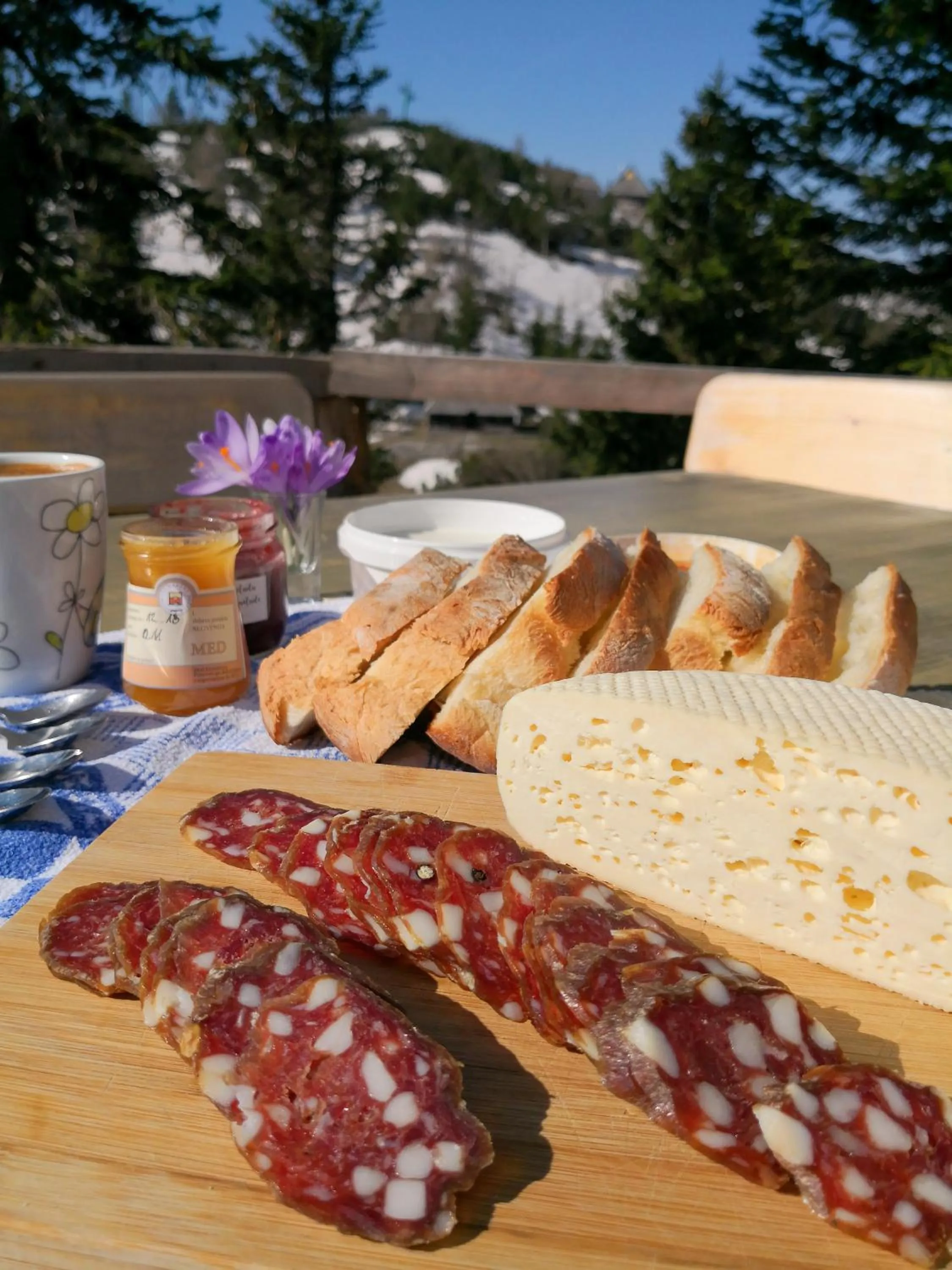 Koča Bistra - Velika planina