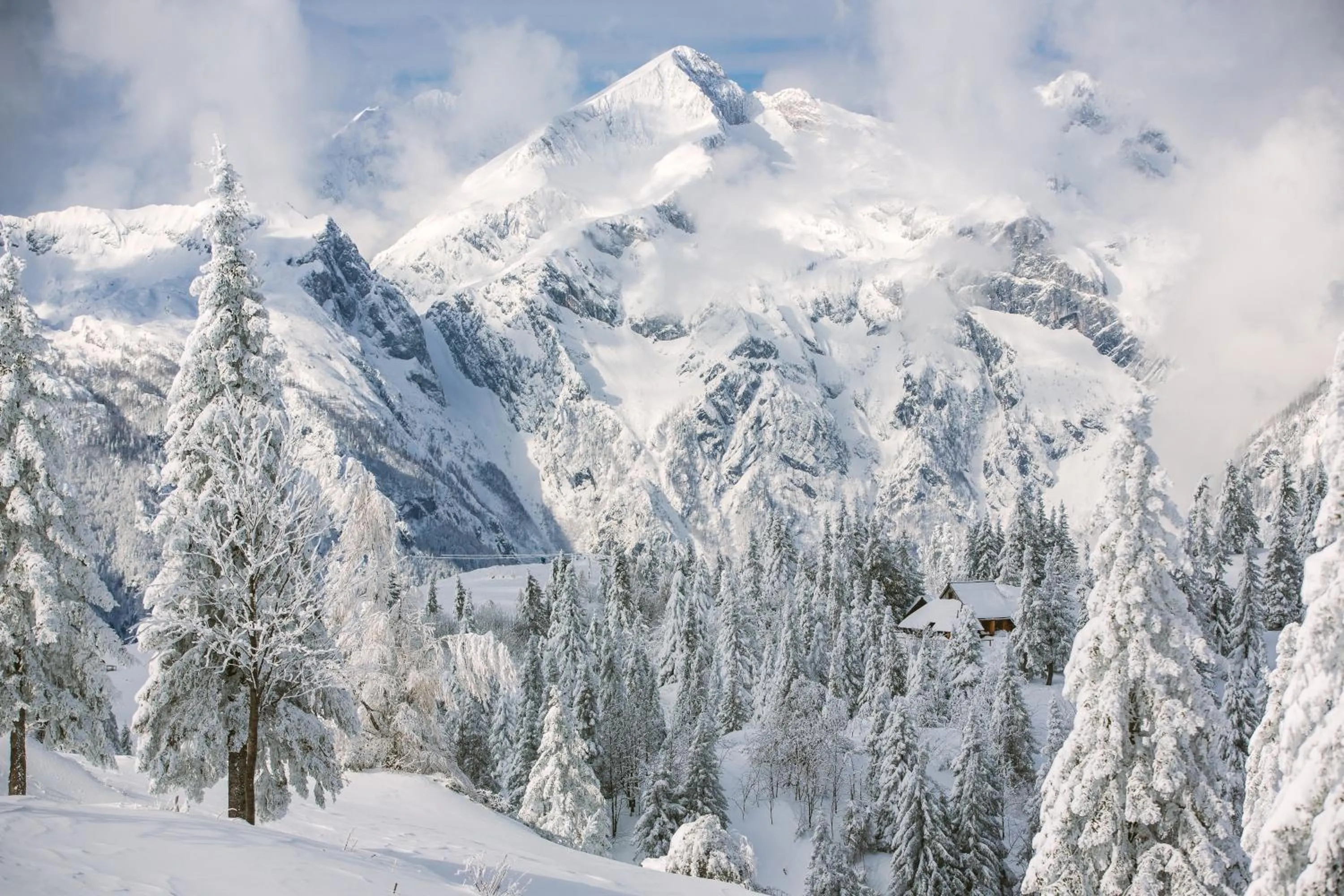 Koča Bistra - Velika planina