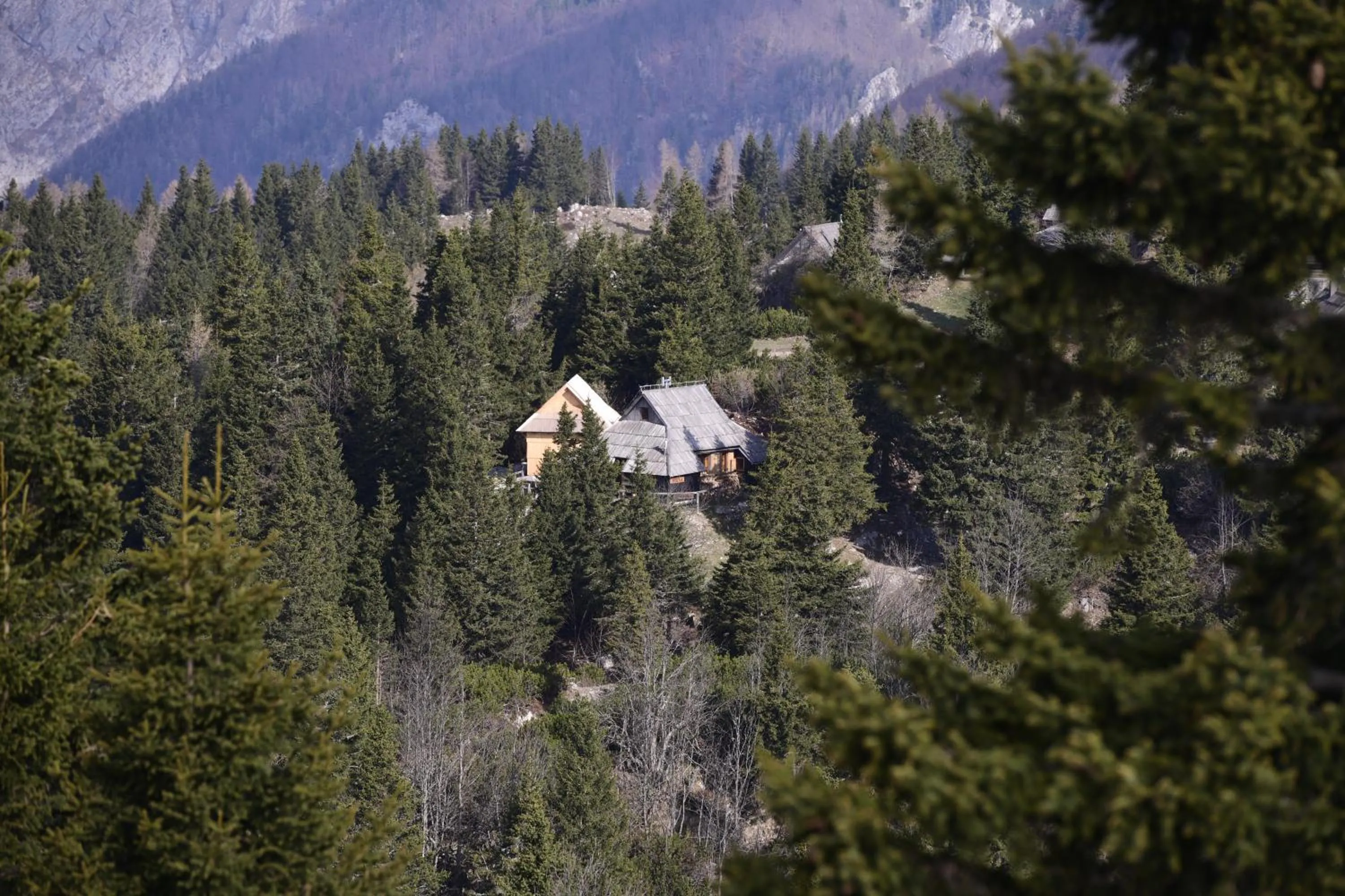 Koča Bistra - Velika planina