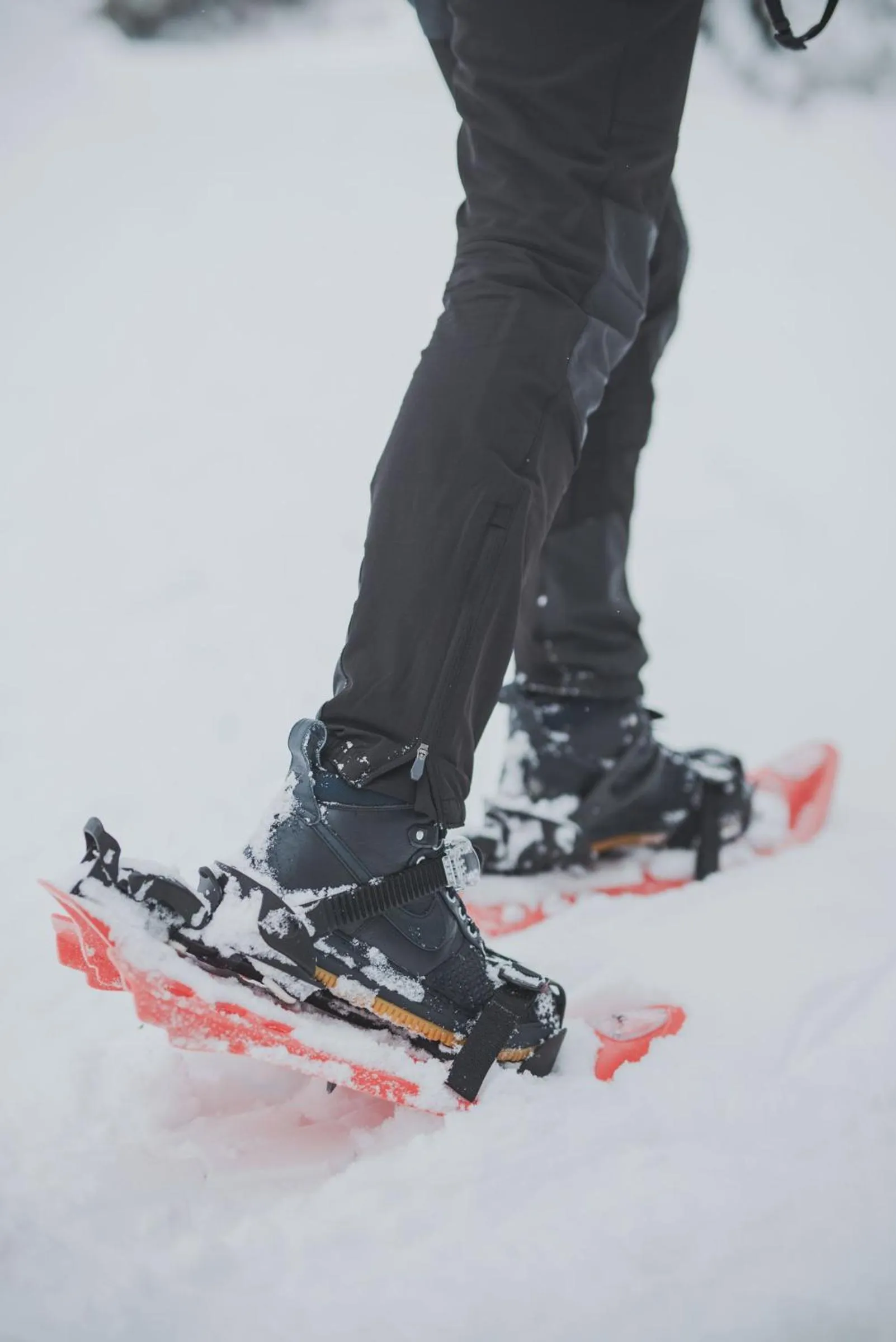 Koča Bistra - Velika planina