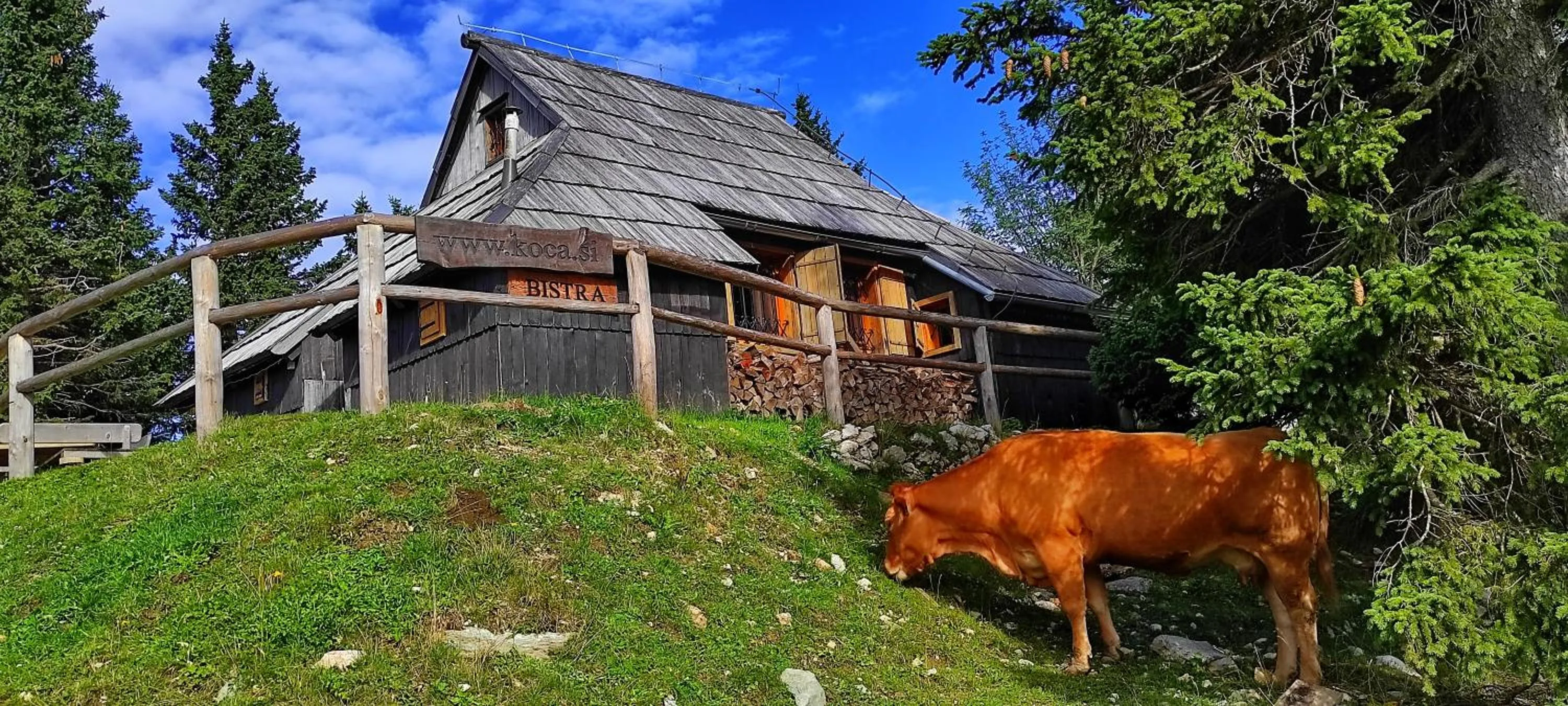 Koča Bistra - Velika planina
