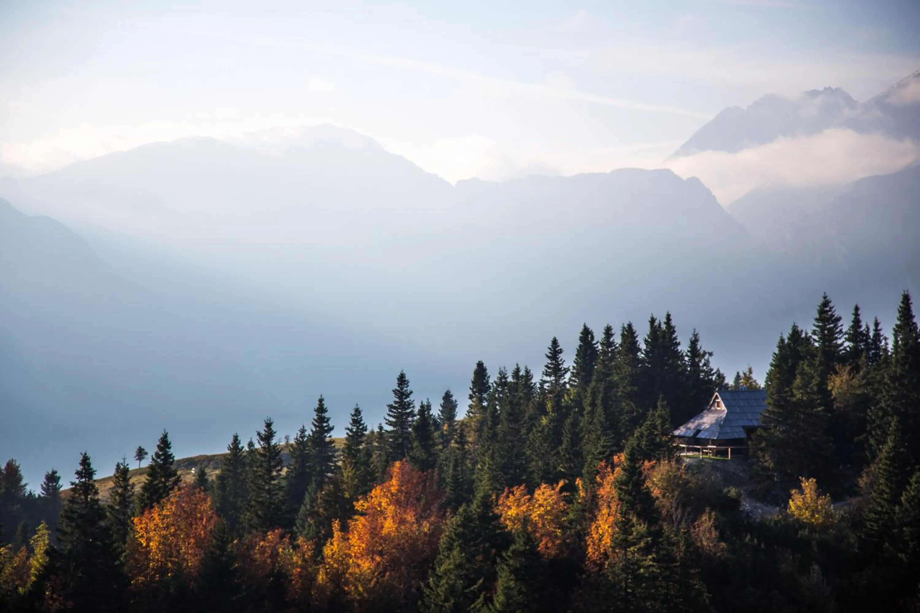 Nearby landmark in Koča Bistra - Velika planina