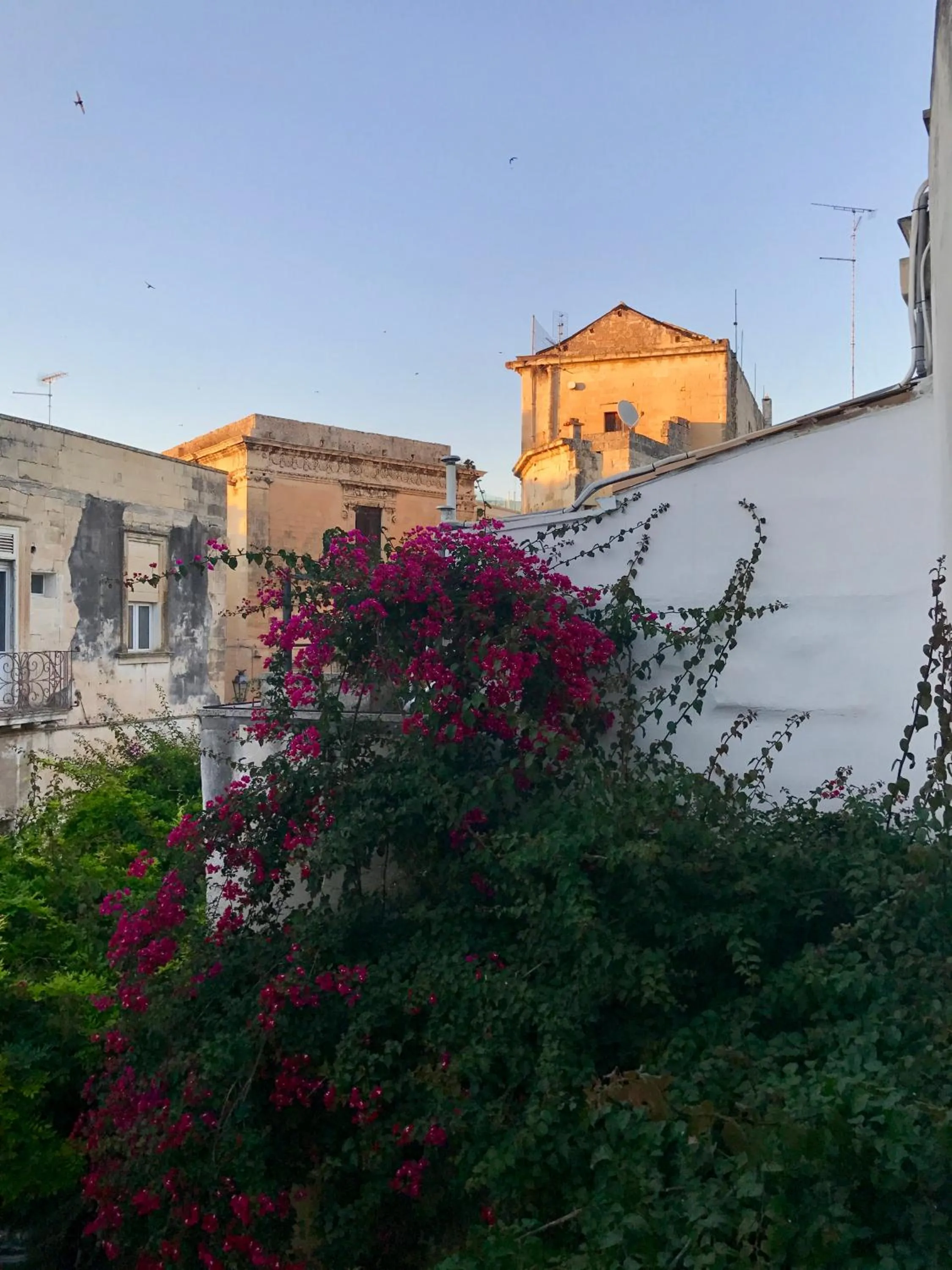 Garden view, Property Building in ART TO DESIGN B&B