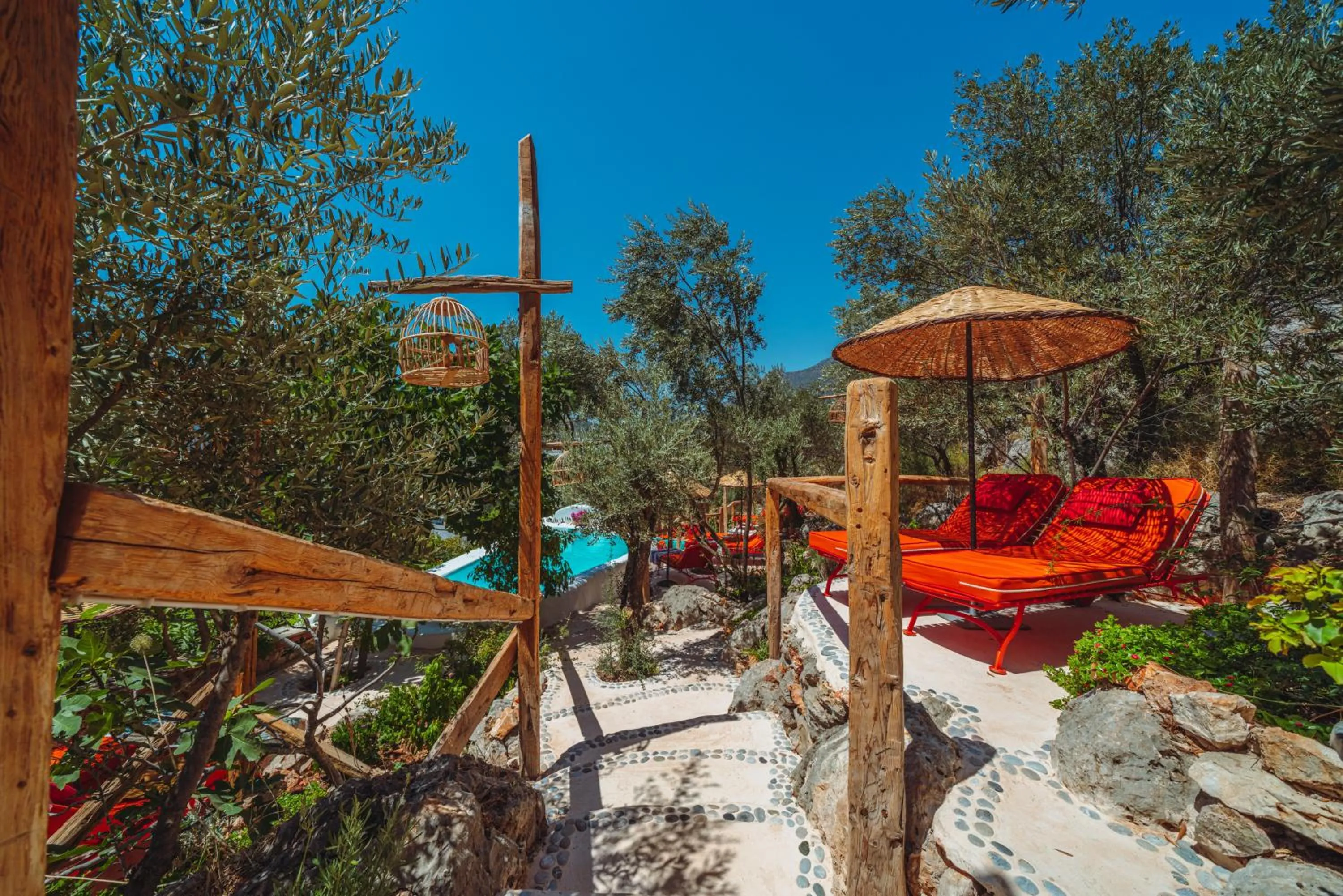 Garden view in Fidanka Hotel