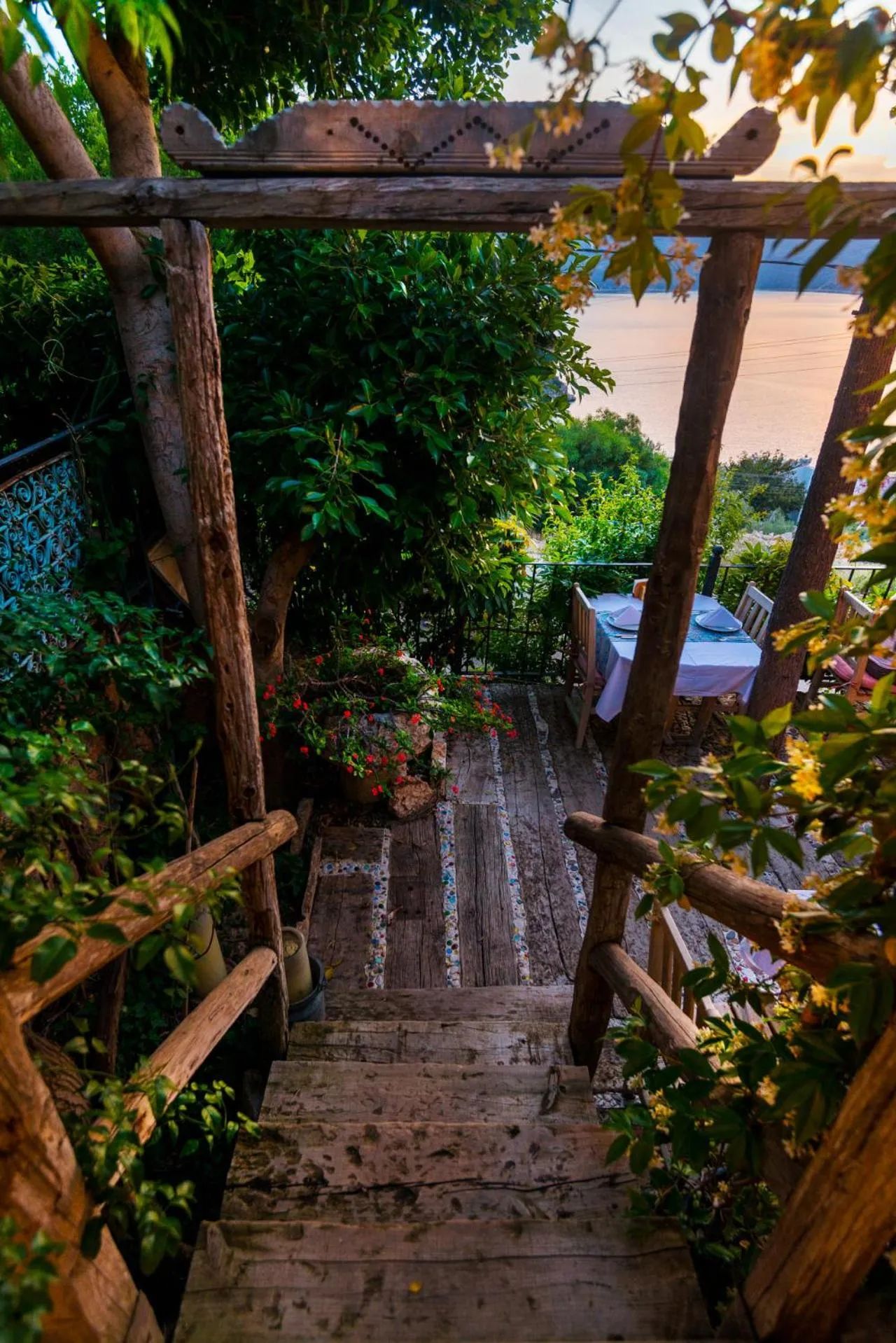 Restaurant/places to eat in Fidanka Hotel