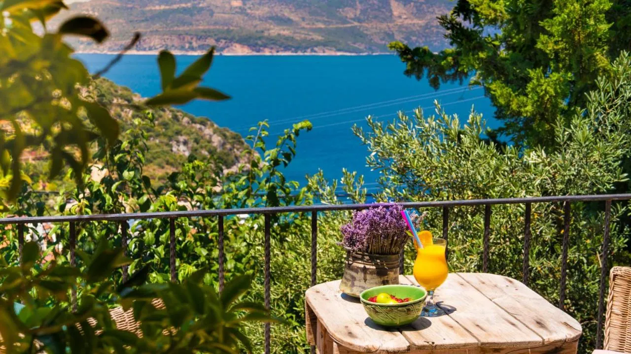 View (from property/room) in Fidanka Hotel