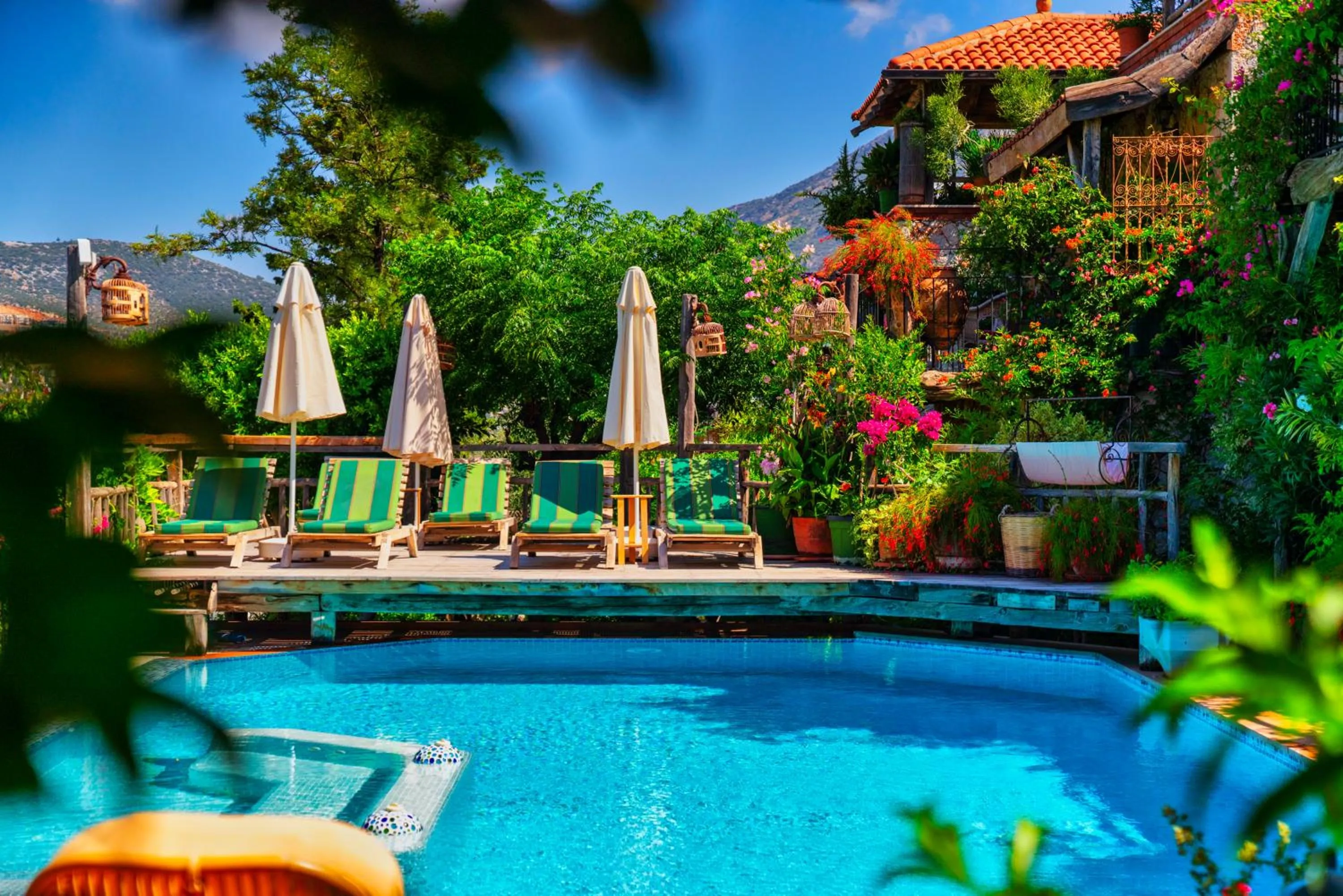 Swimming pool in Fidanka Hotel