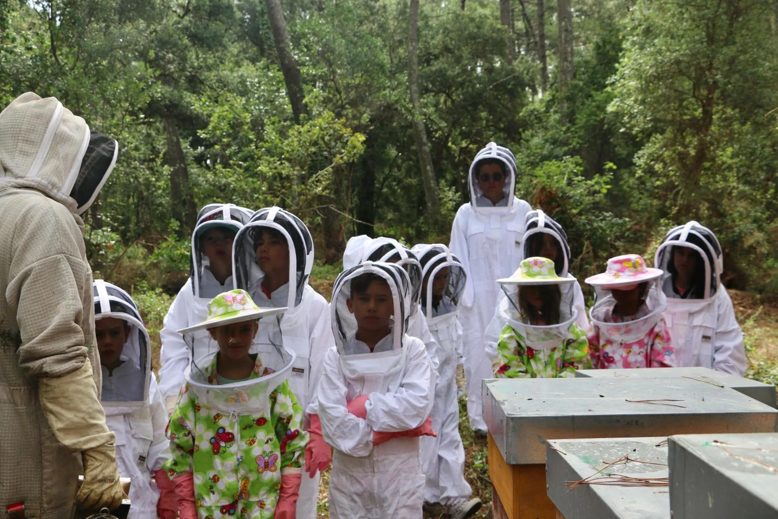 People in Green Resort