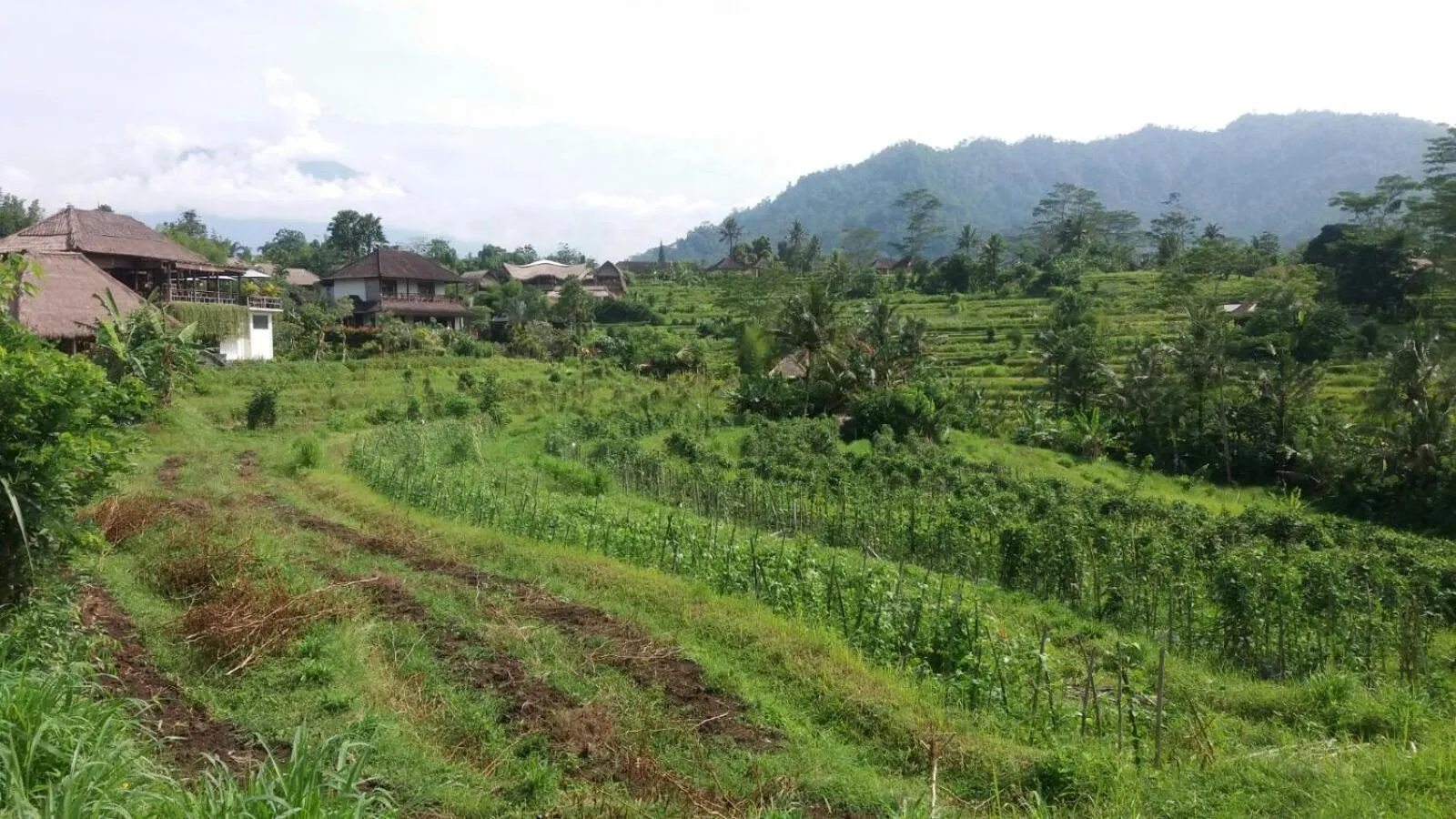 Property building in Maha Neka Villa