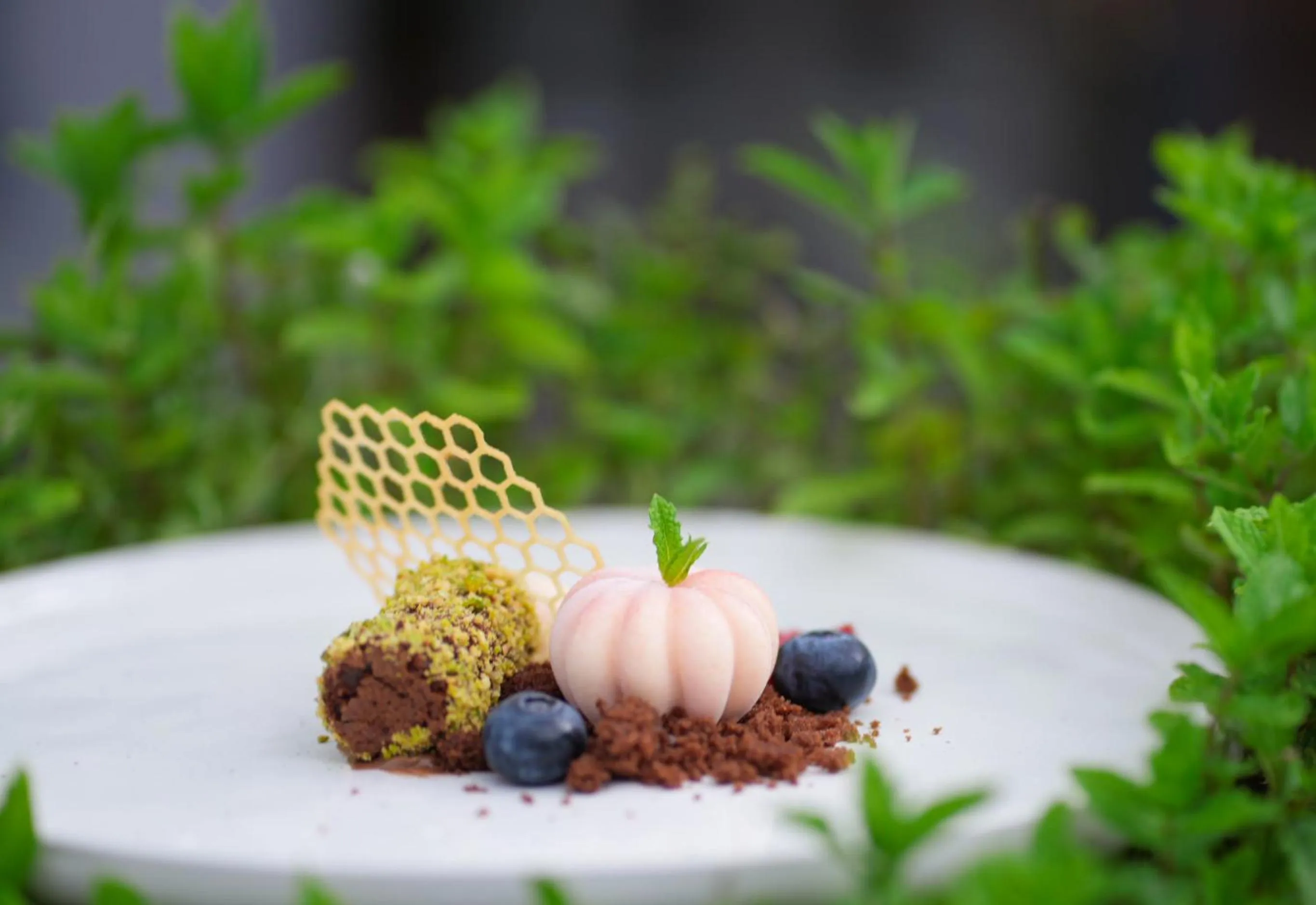 Dinner in Hotel Bergkristall