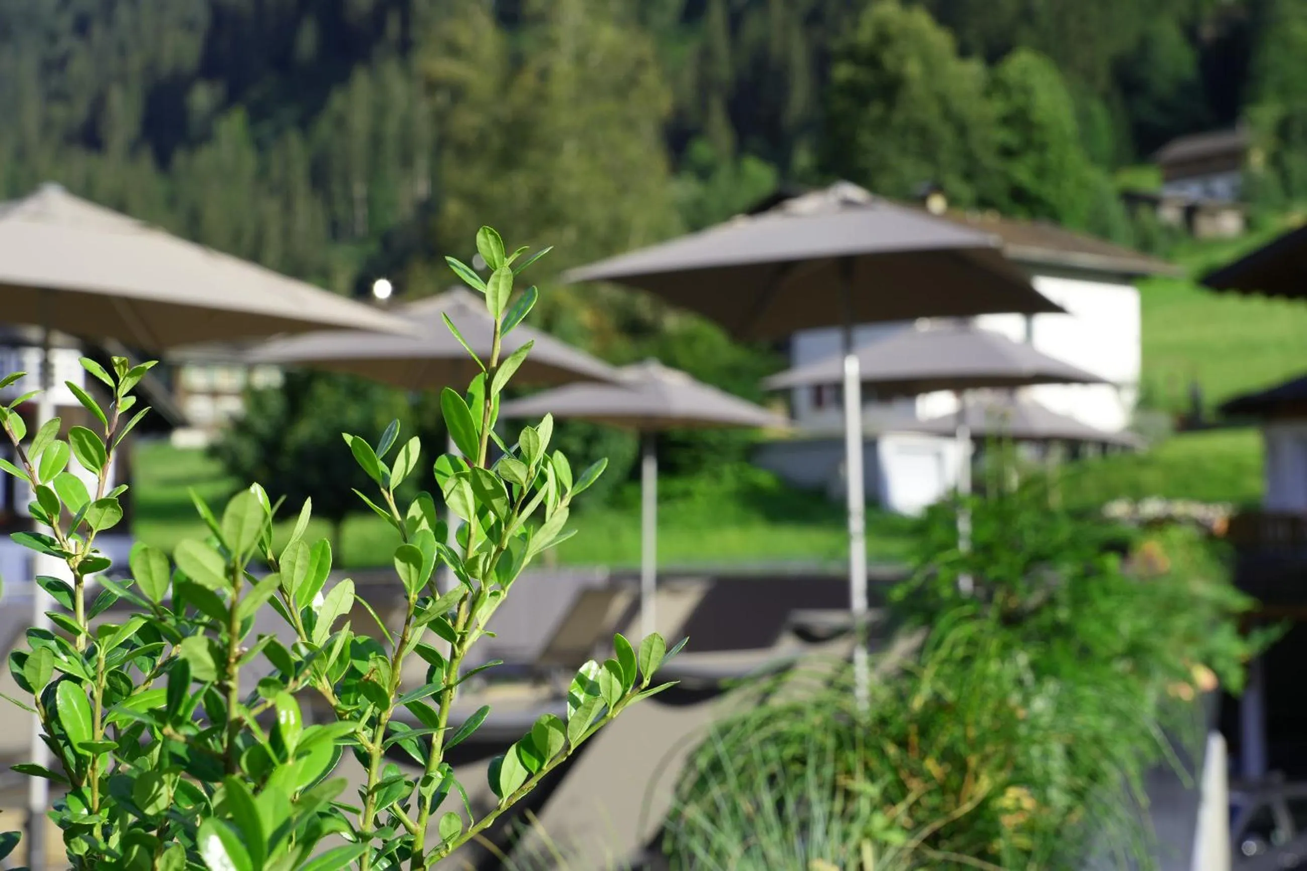 Balcony/Terrace in Hotel Bergkristall