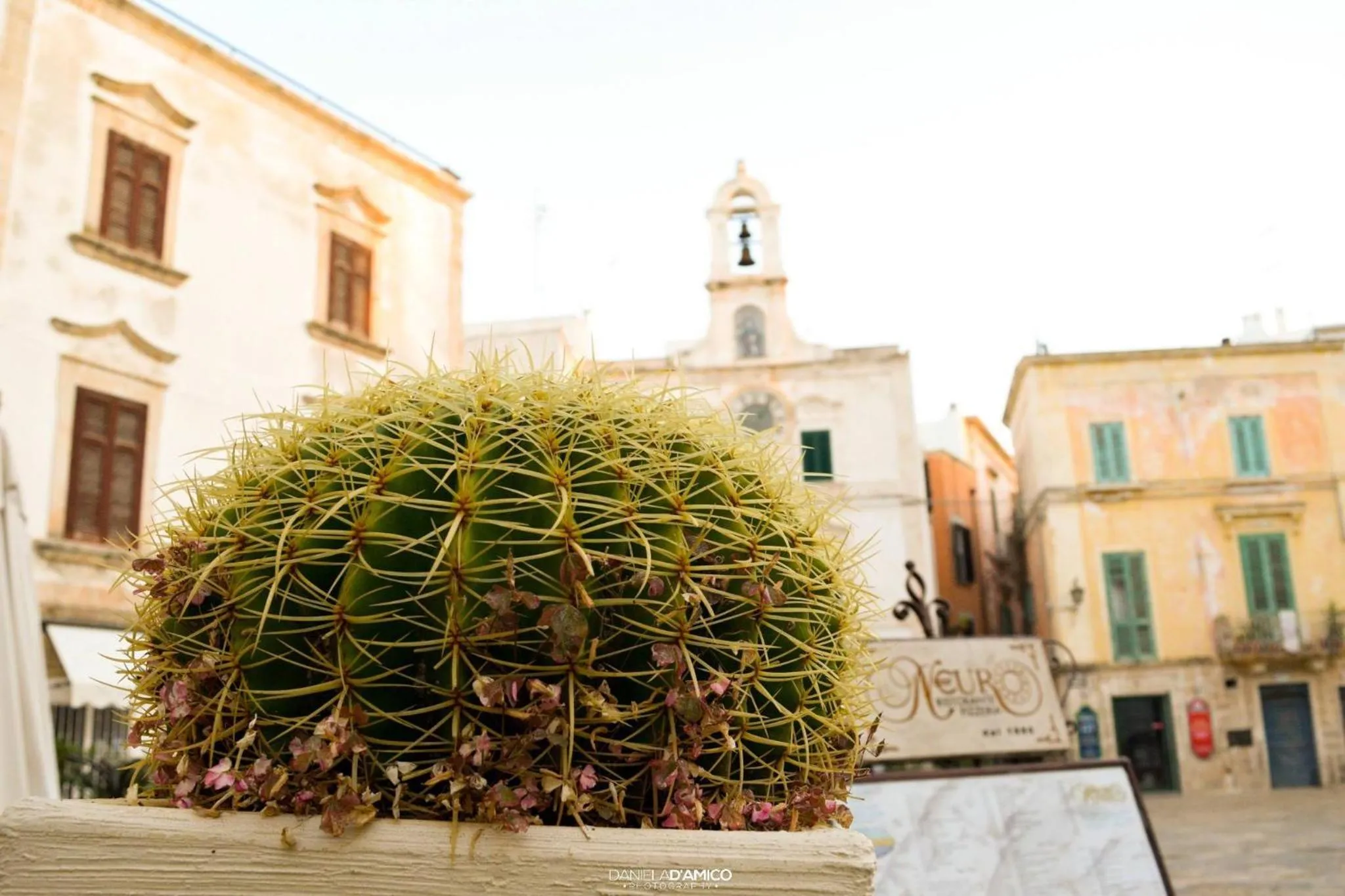 Area and facilities in Malù Bed&Breakfast