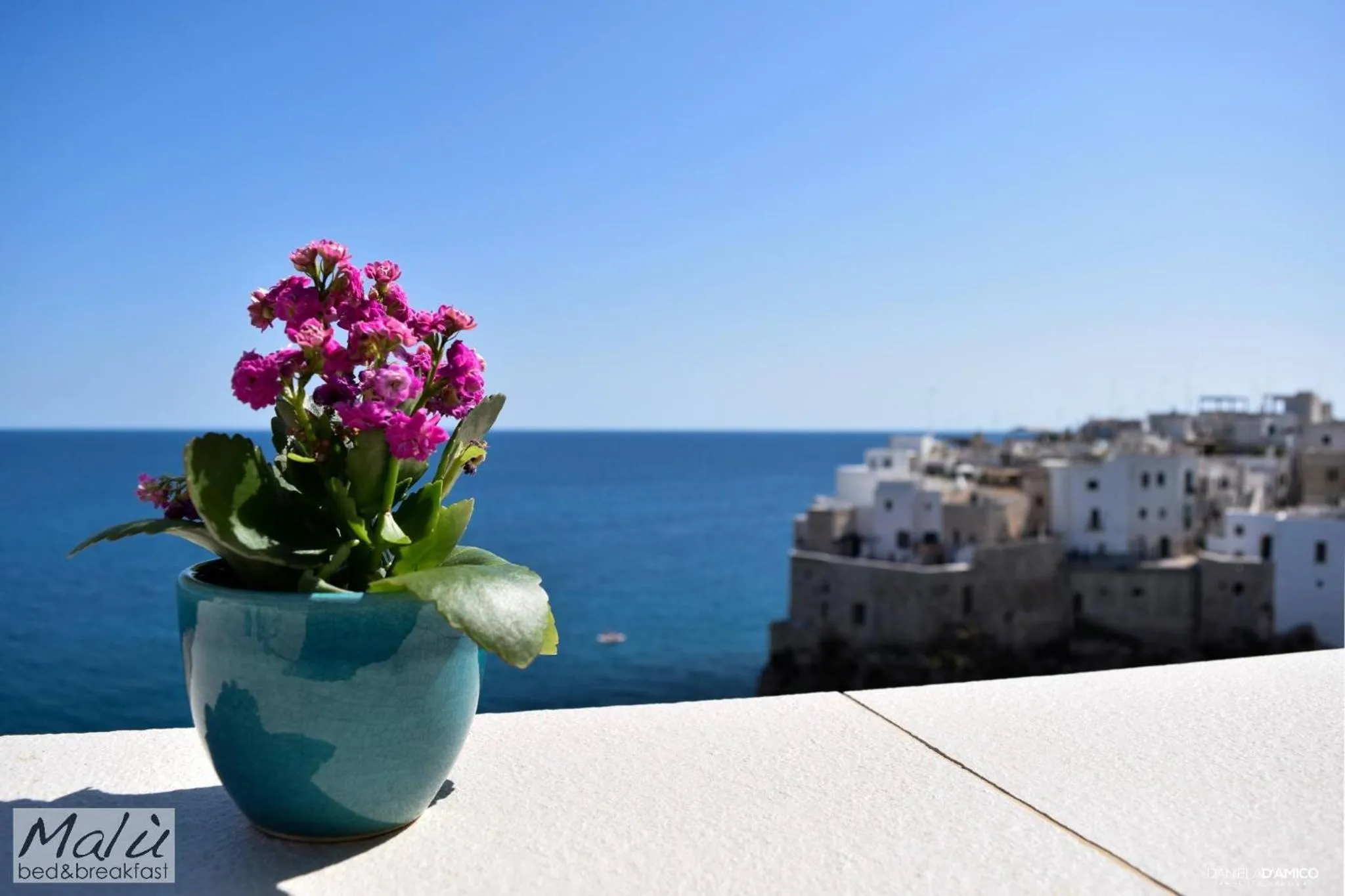 View (from property/room) in Malù Bed&Breakfast