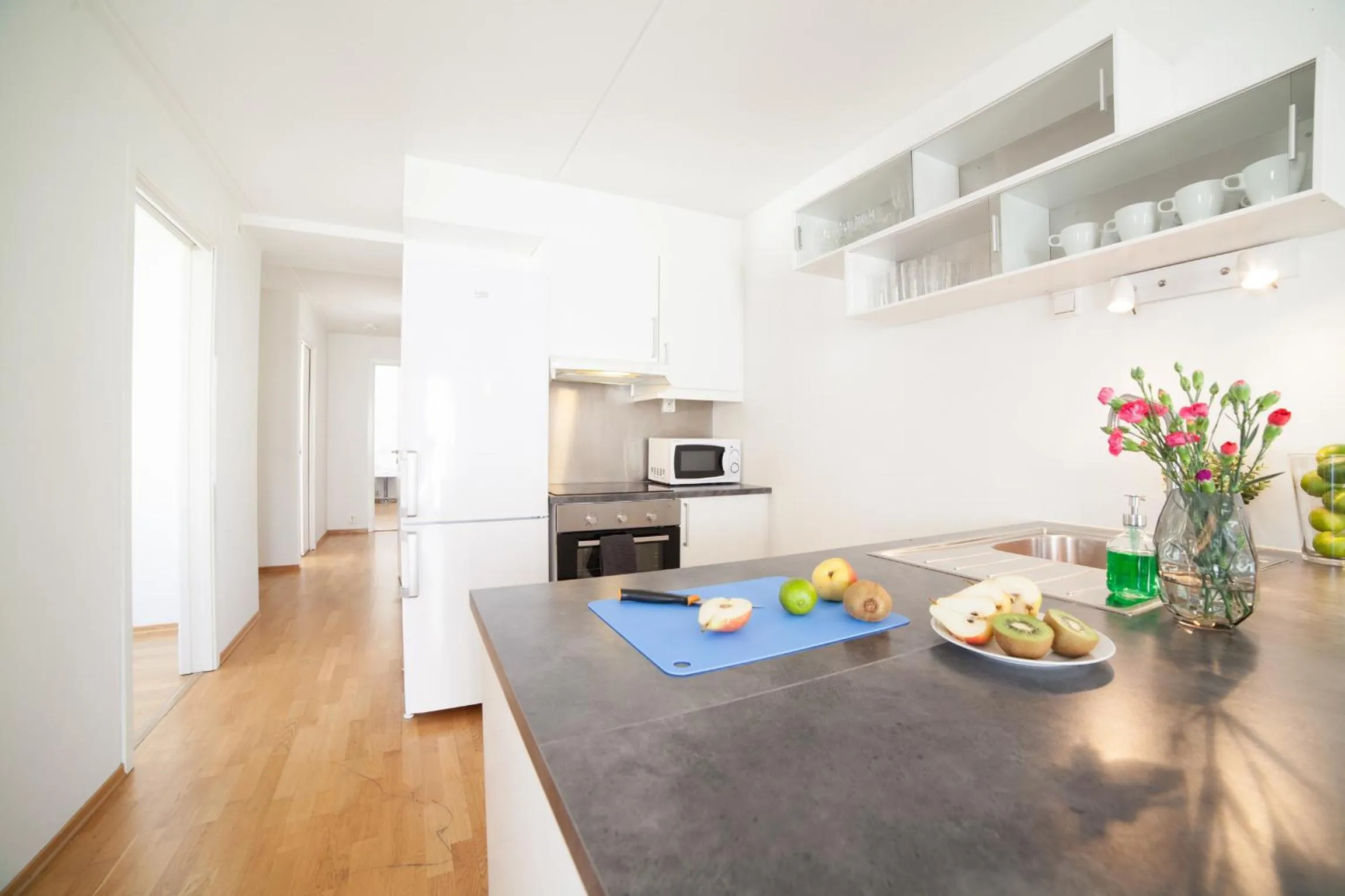 Kitchen or kitchenette in BJØRVIKA APARTMENTS, Teaterplassen, Oslo city center