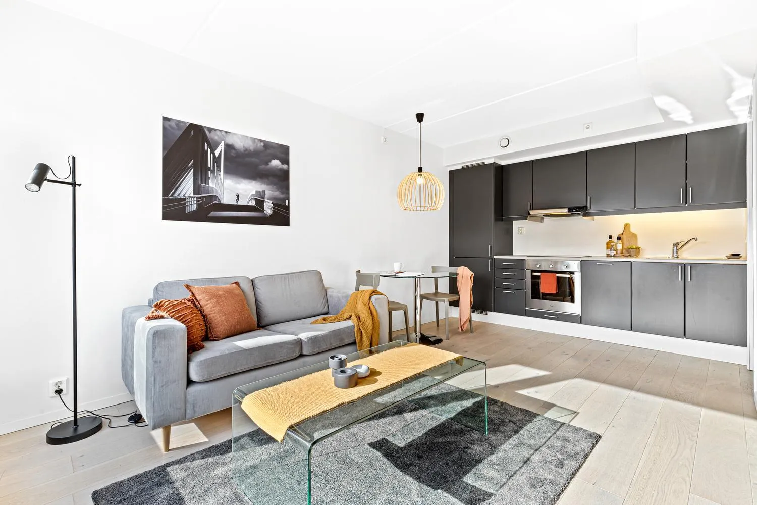 Living room in BJØRVIKA APARTMENTS, Teaterplassen, Oslo city center