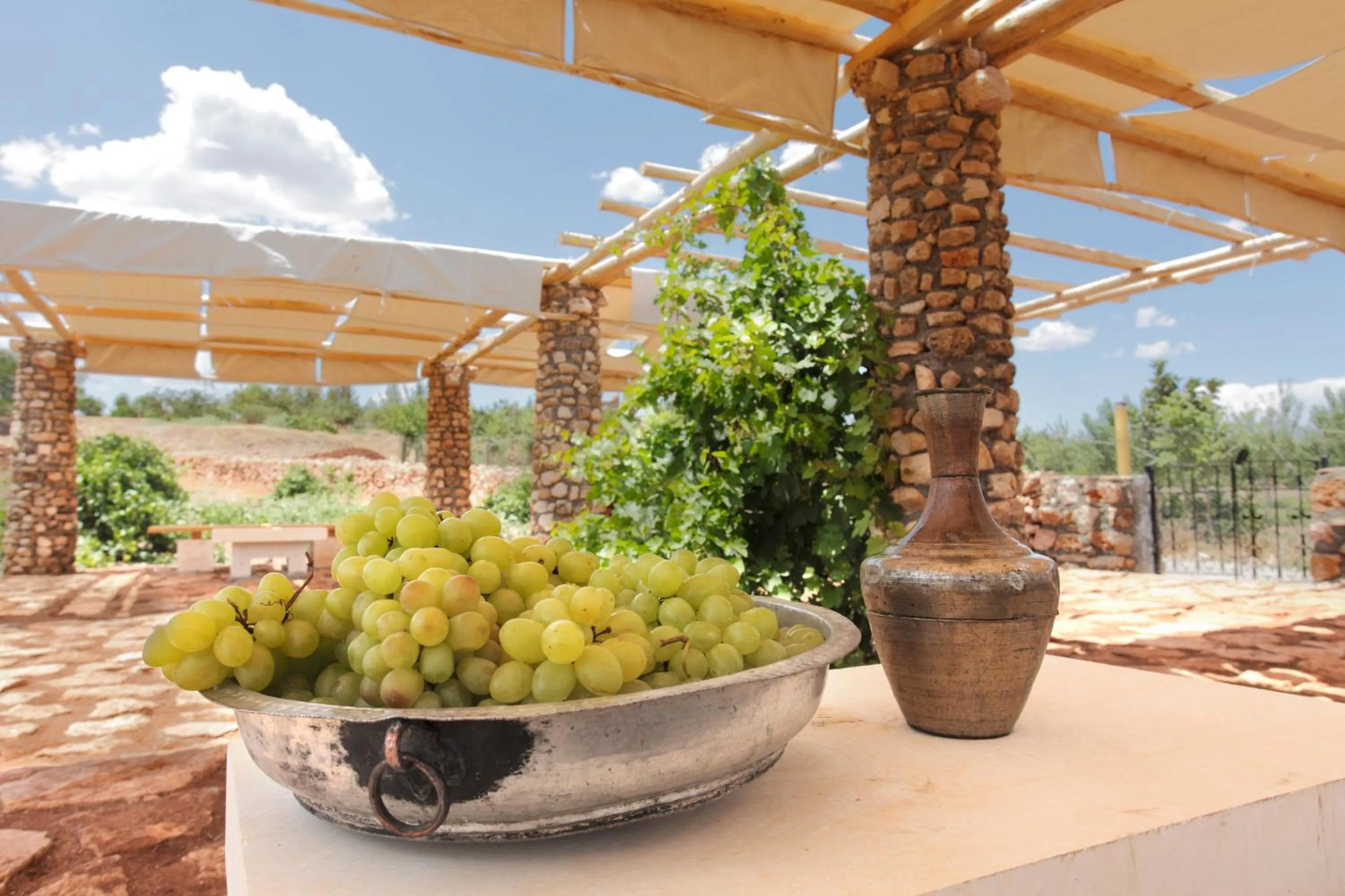 Garden in Kasr-i Nehroz Hotel