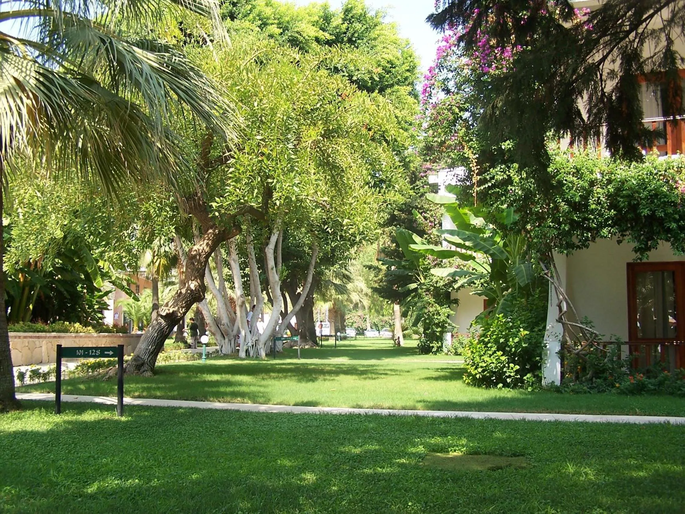 Day in Club Boran Mare Beach - All Inclusive