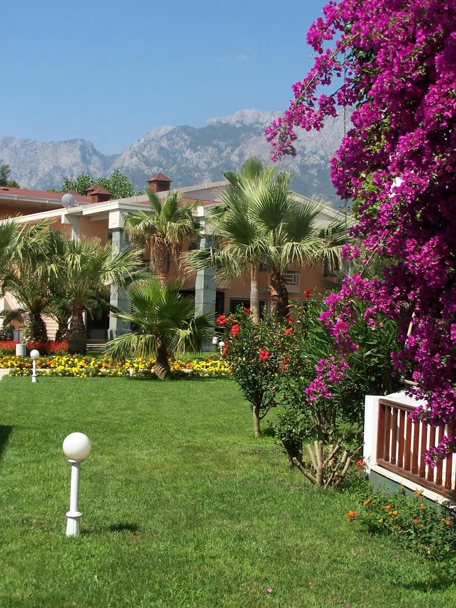 Garden in Club Boran Mare Beach - All Inclusive