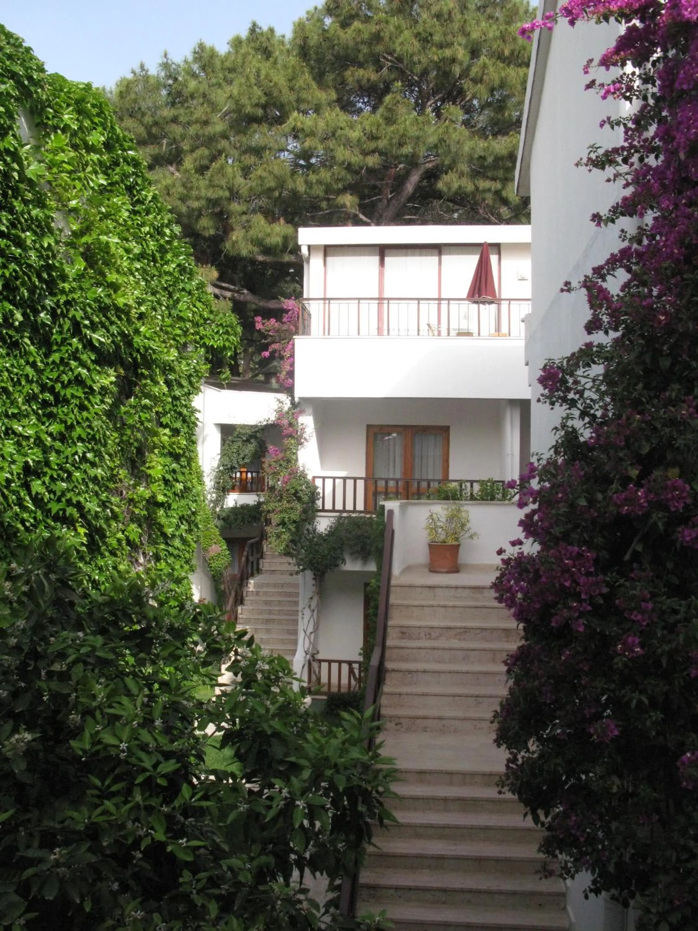 Property building in Club Boran Mare Beach - All Inclusive