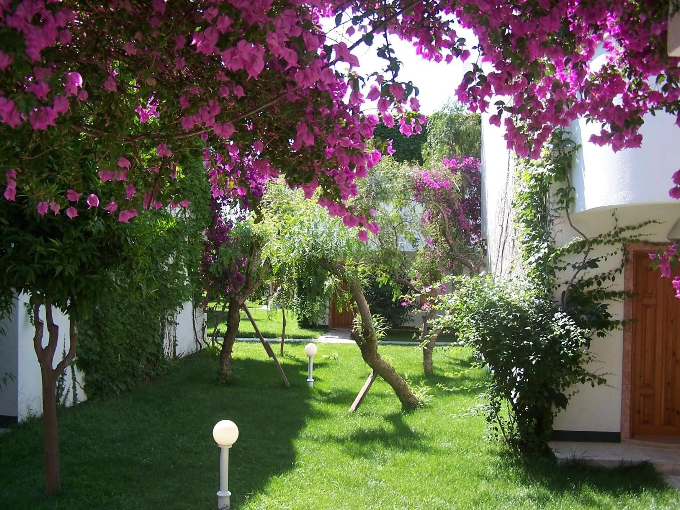 Garden in Club Boran Mare Beach - All Inclusive