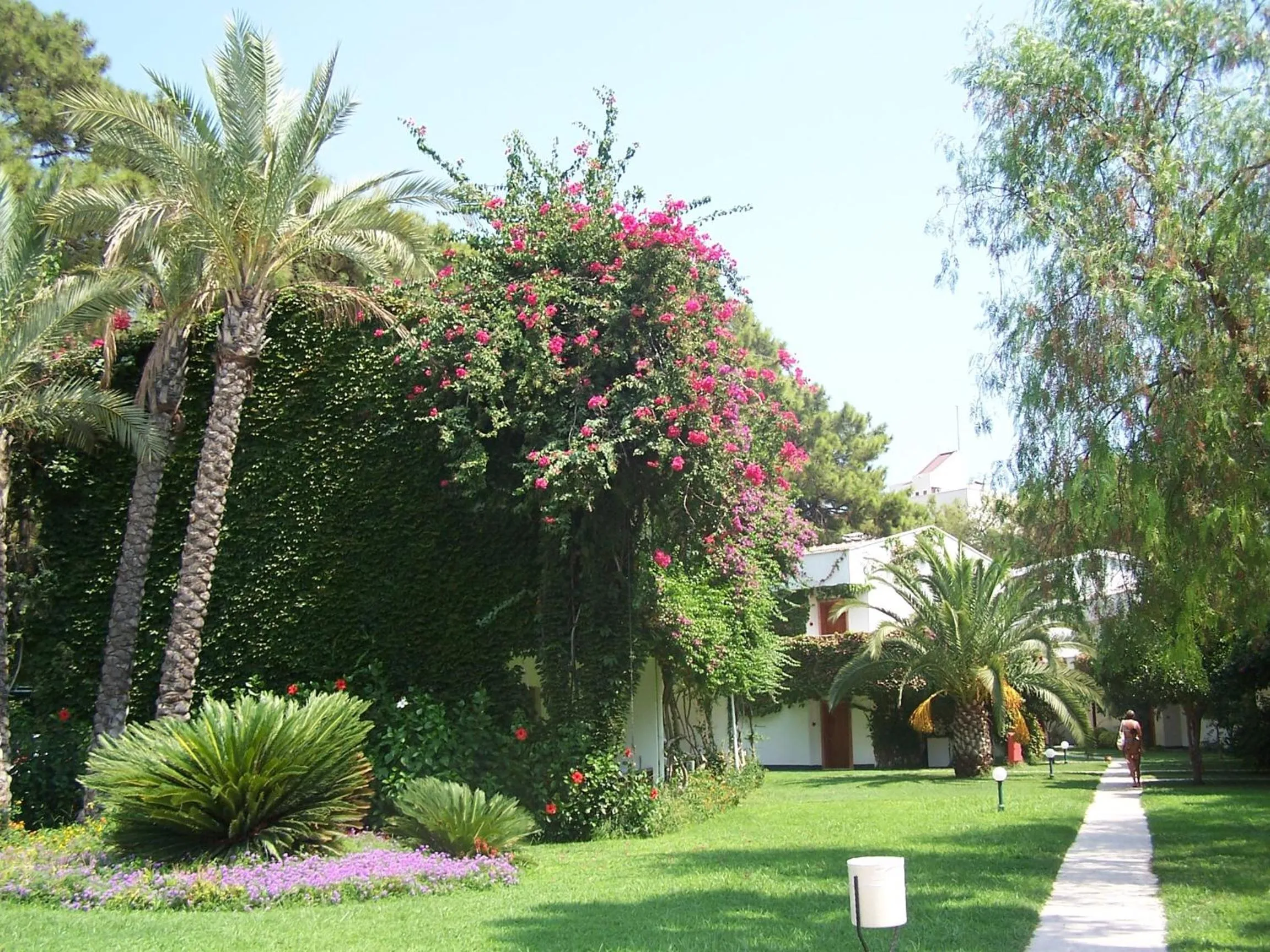 Day in Club Boran Mare Beach - All Inclusive