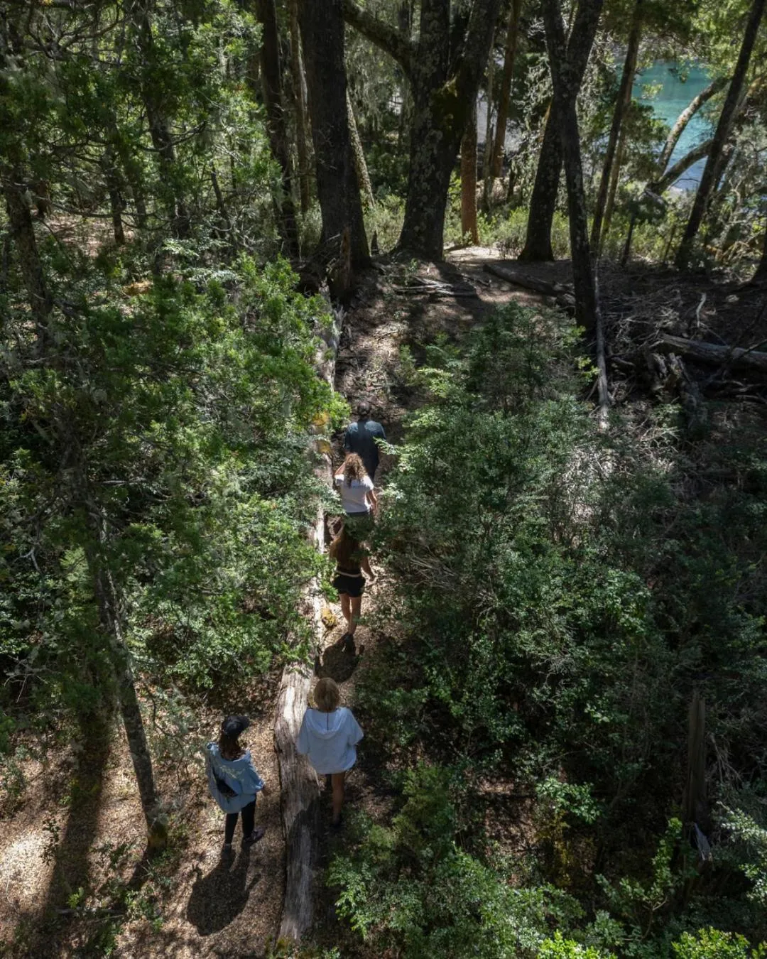 Activities in Correntoso Lake & River Hotel