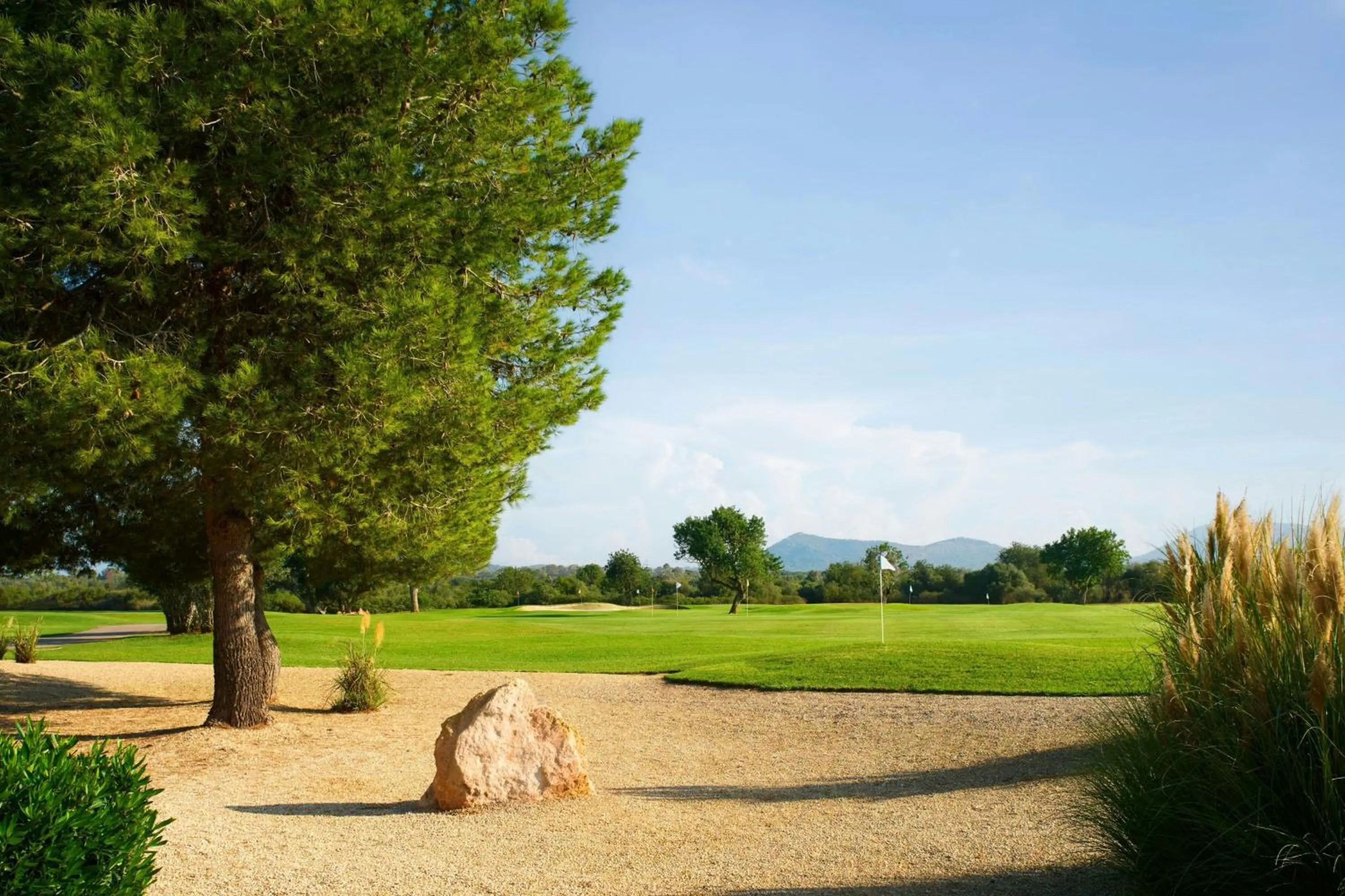 Other in Marriott’s Club Son Antem