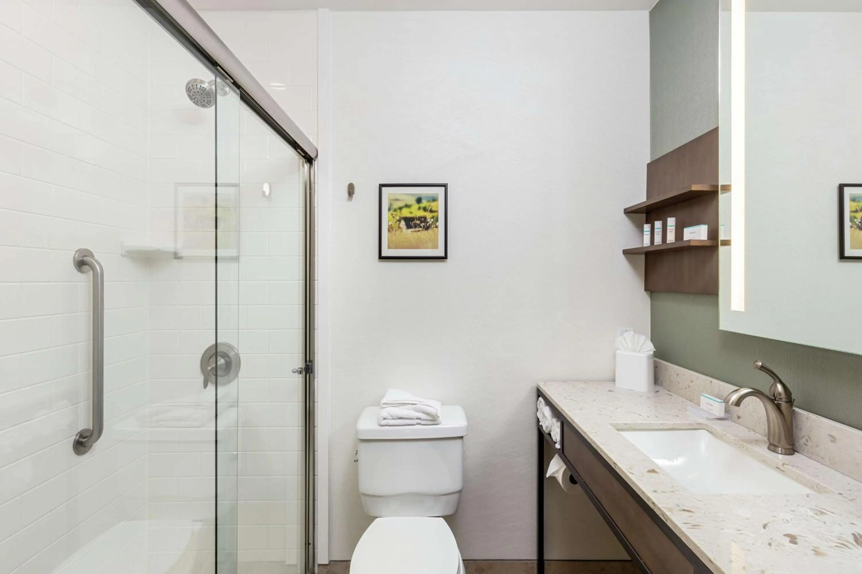 Bathroom in Hilton Garden Inn Davis Downtown