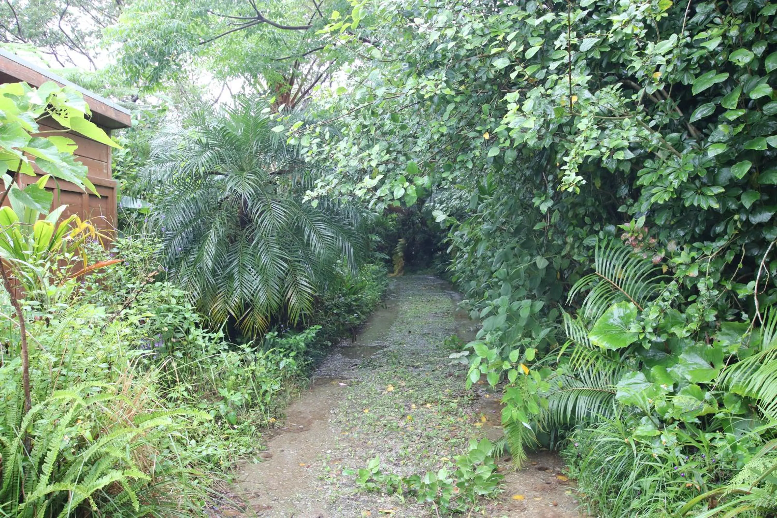 Yanbaru no mori -SEVEN Hotels and Resorts-