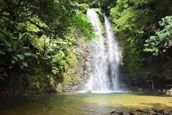 Yanbaru no mori -SEVEN Hotels and Resorts-