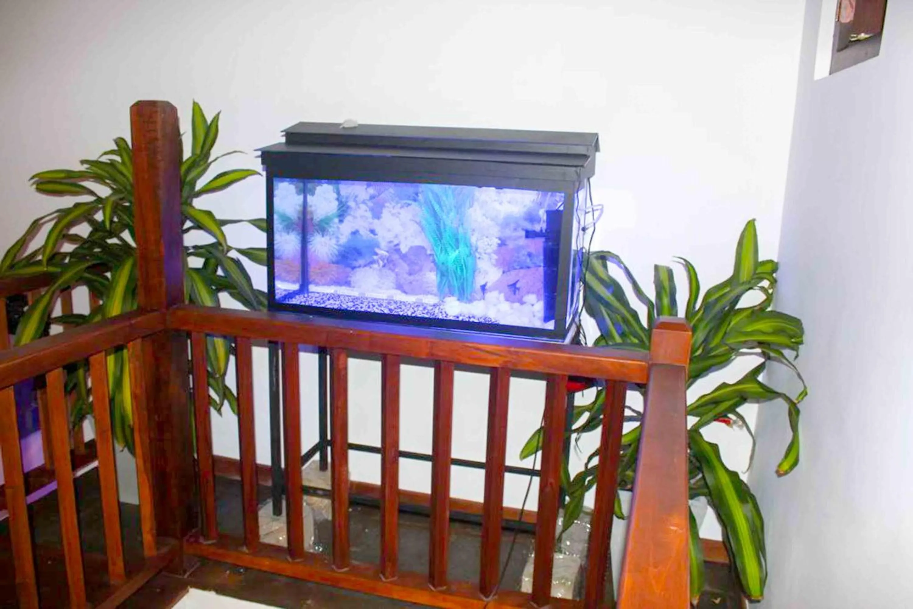 Dream Villa Galle Fort