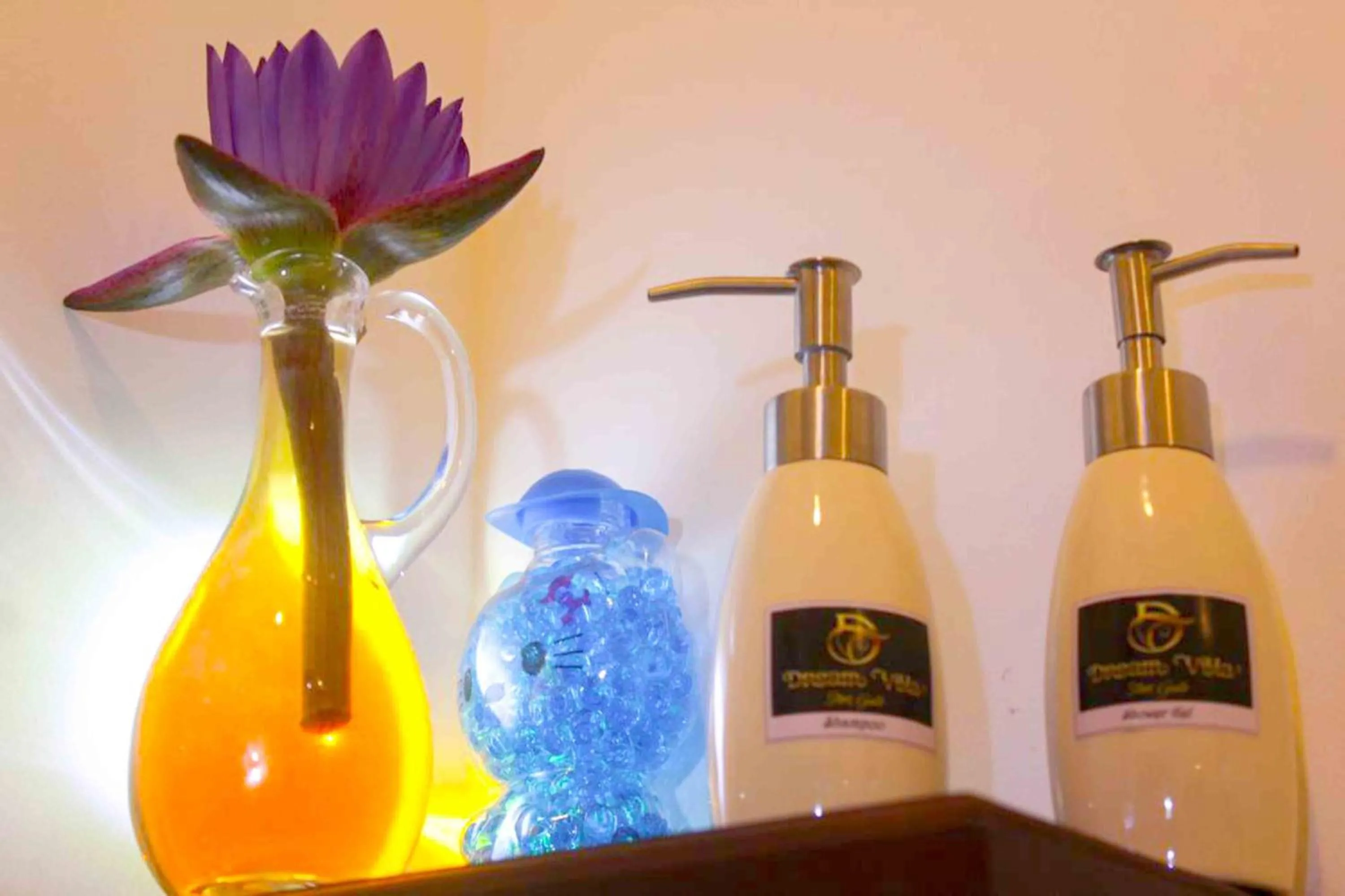 Dream Villa Galle Fort