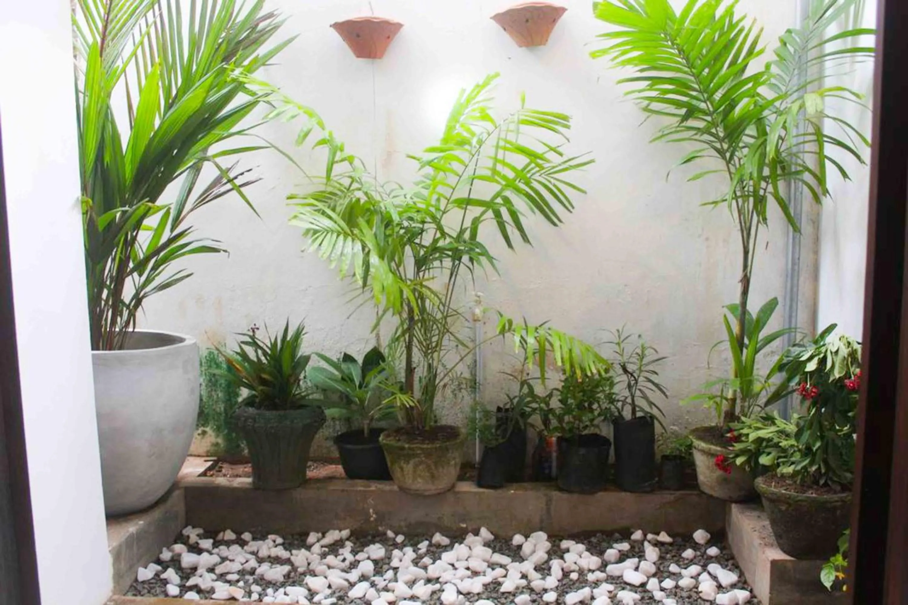 Garden in Dream Villa Galle Fort